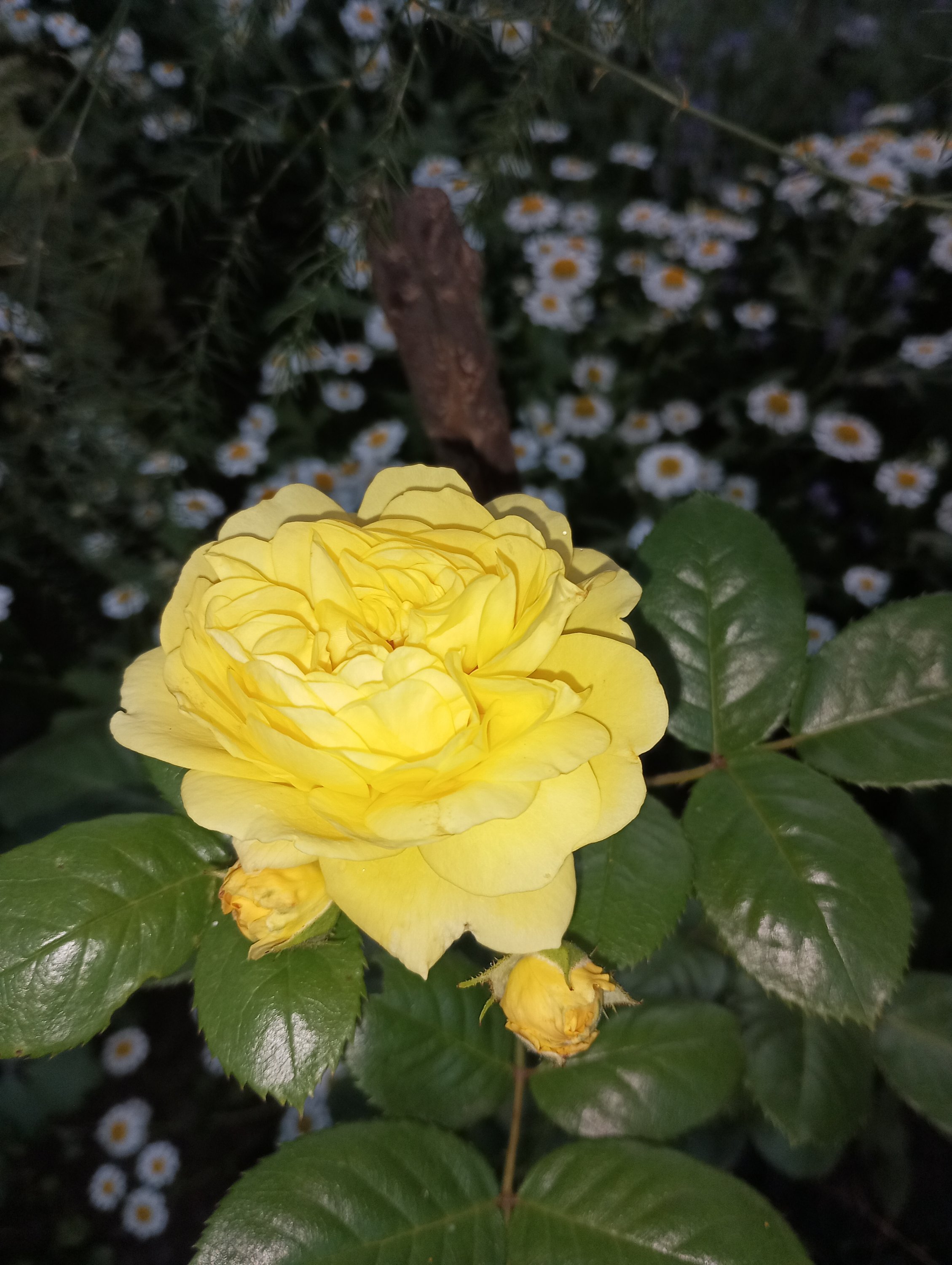 2024-07-02 20-32-19.JPG