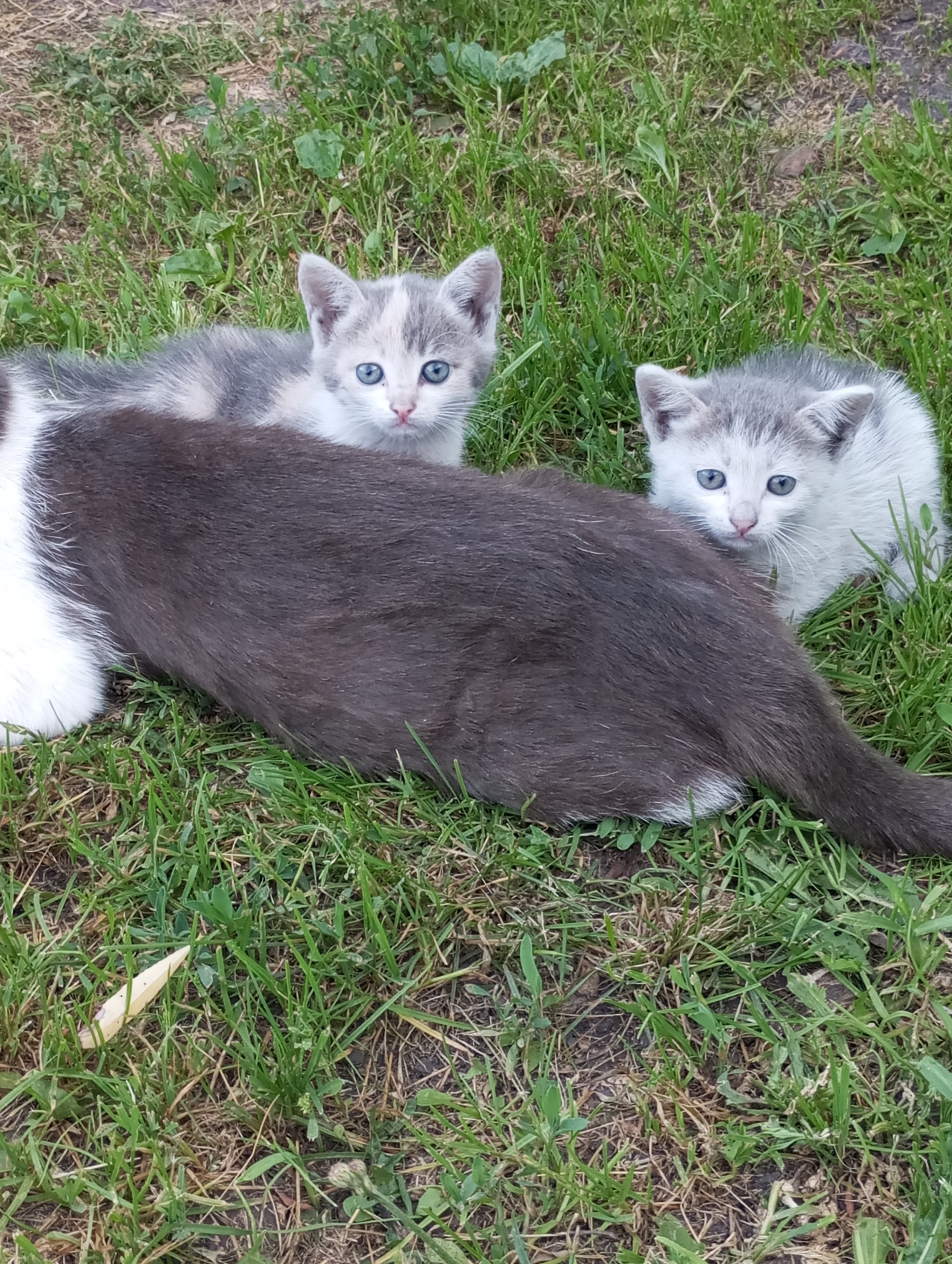 2024-07-03 19-27-12.JPG