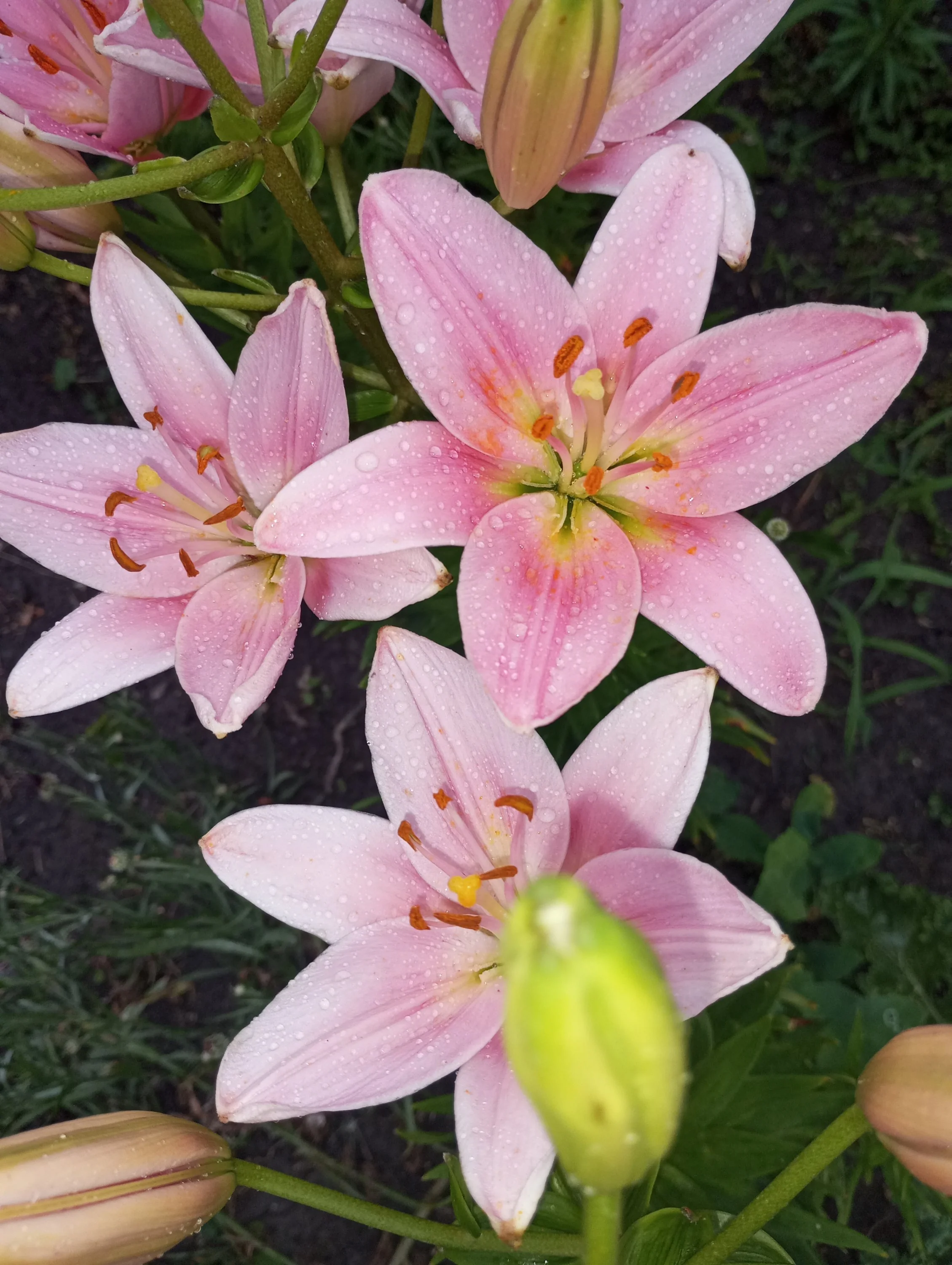 2024-07-05 19-40-27.webp