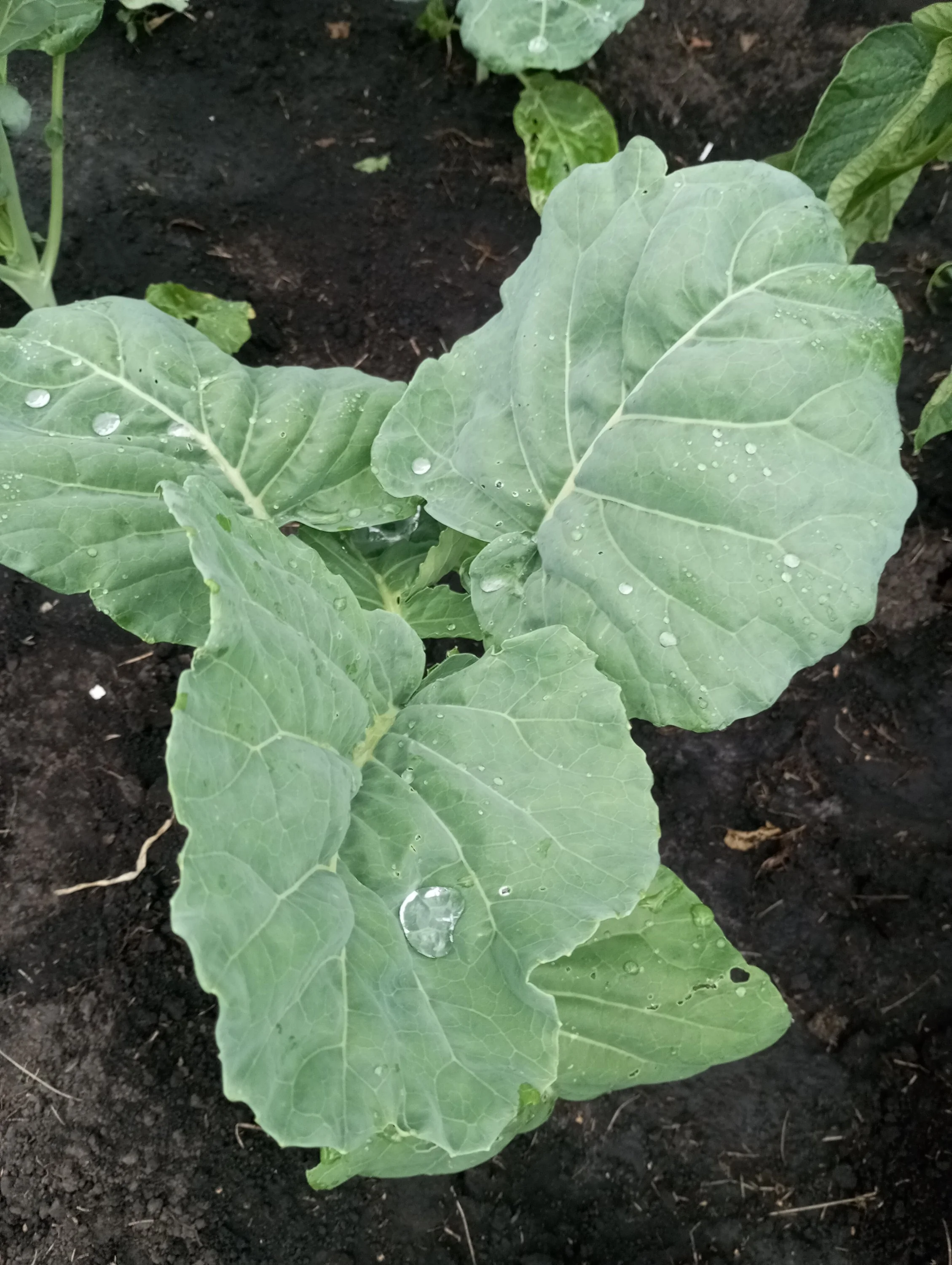 2024-07-05 19-58-14.webp