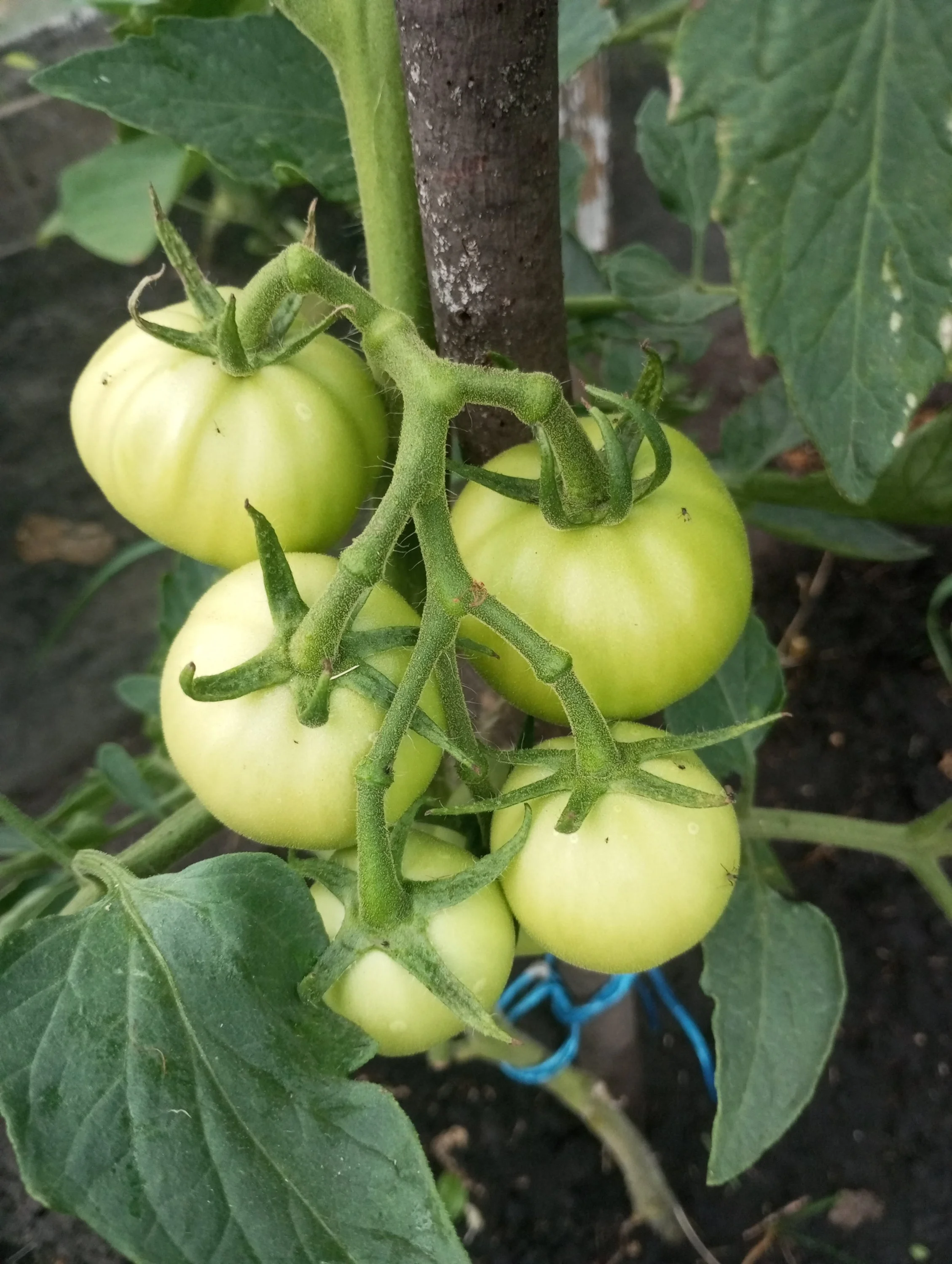 2024-07-05 19-58-28.webp