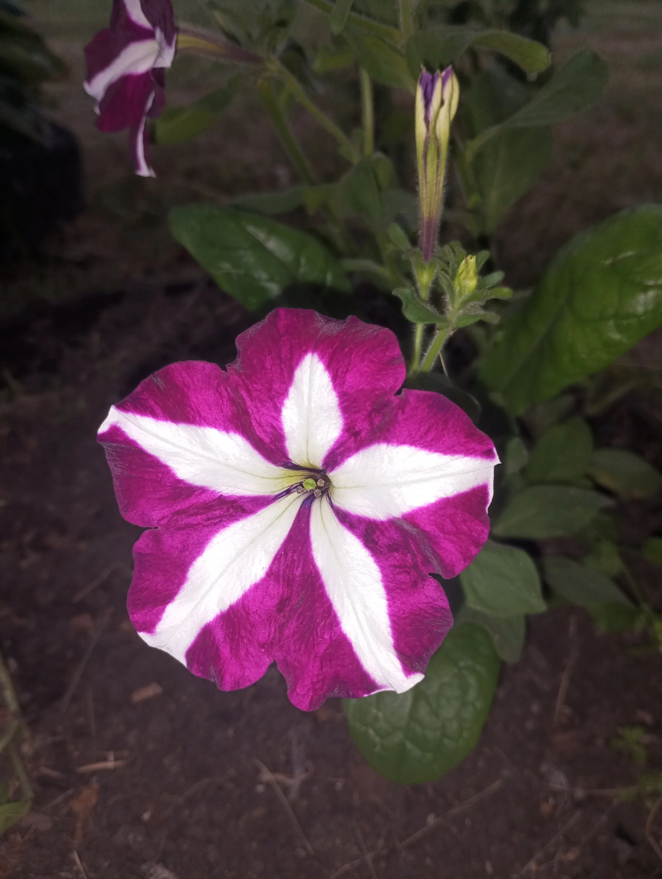 2024-07-05 19-59-16.webp