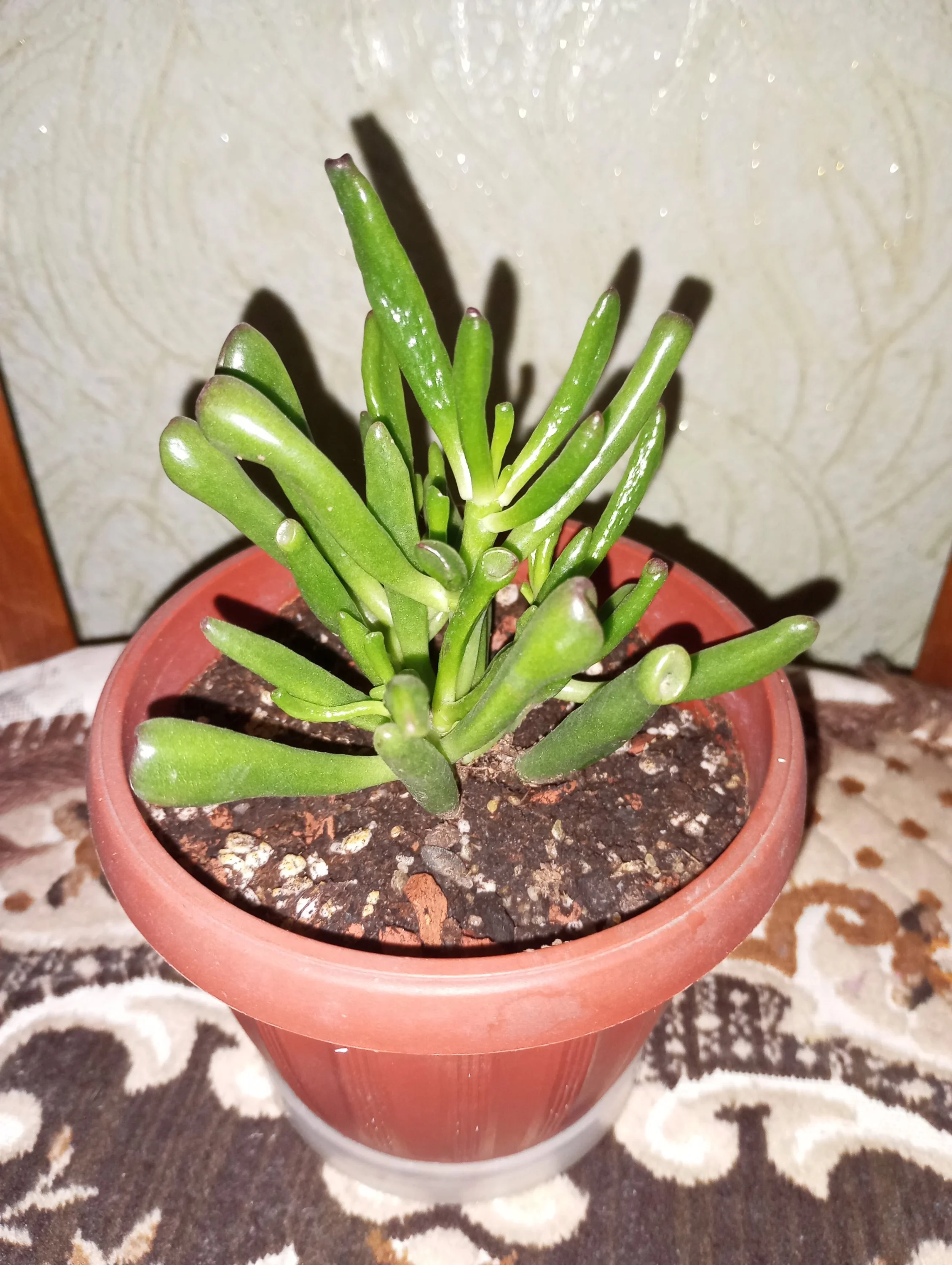 2024-07-05 20-01-11.webp