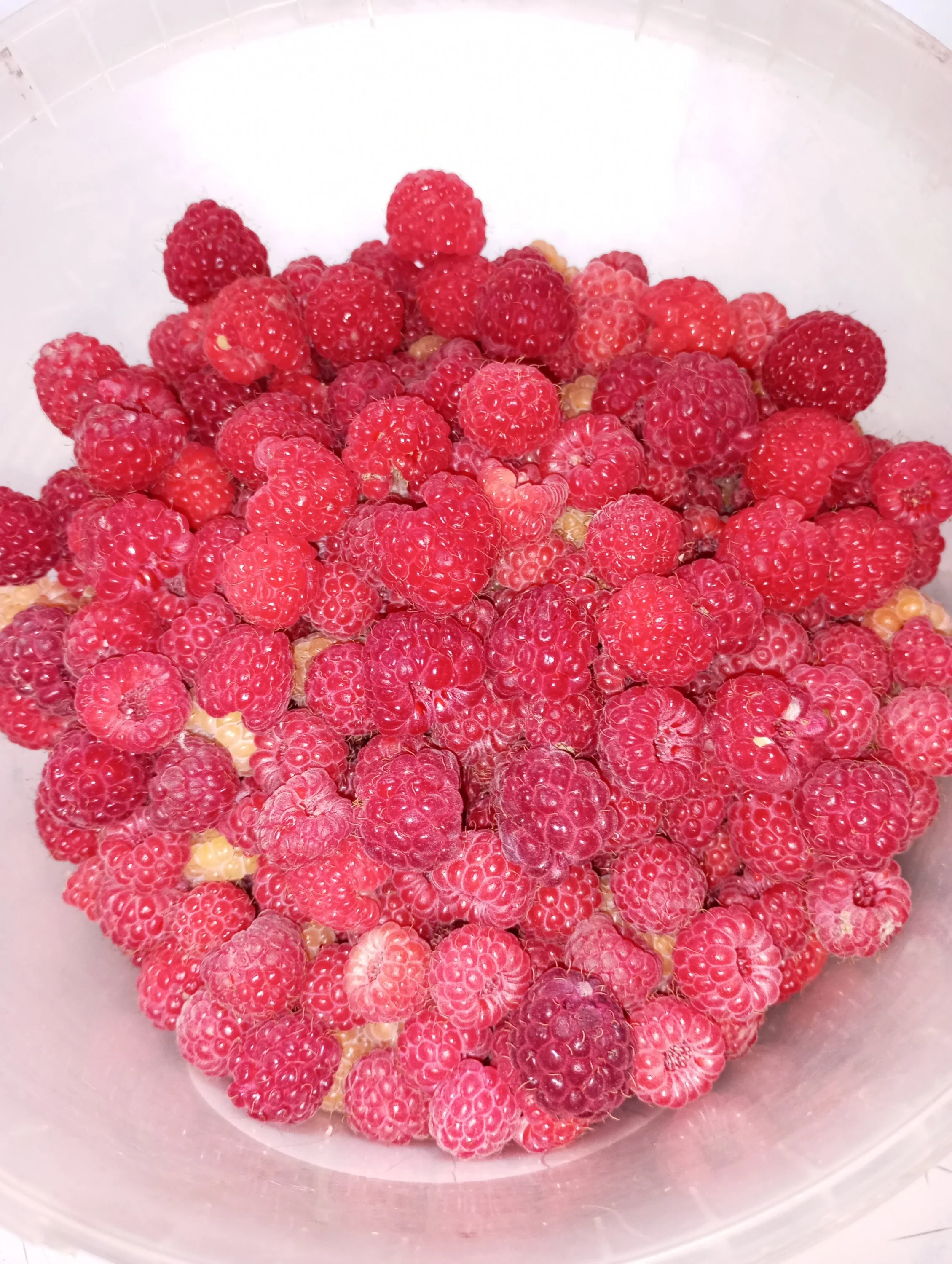 2024-07-13 08-57-03.webp