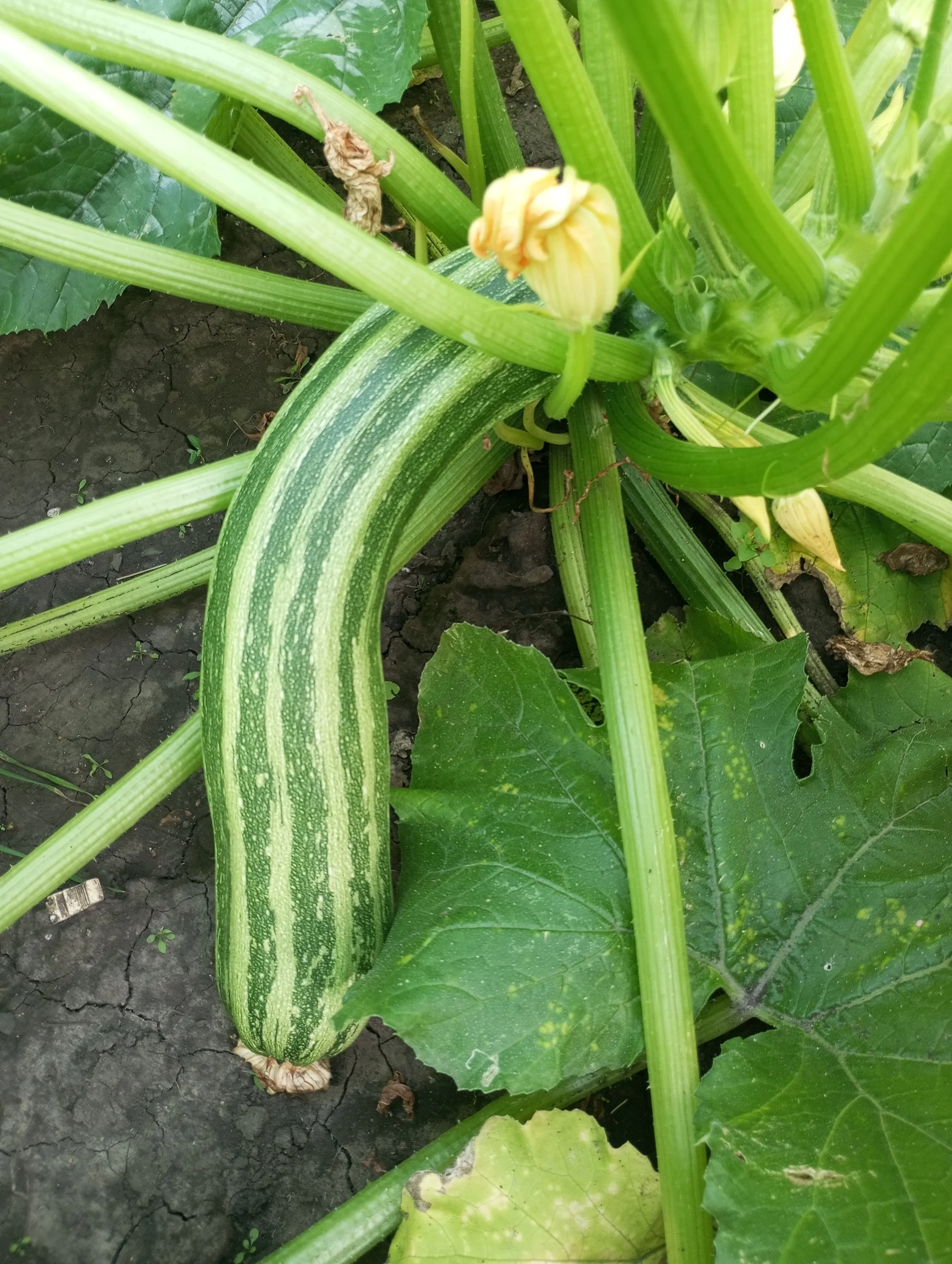 2024-07-16 16-34-21.webp