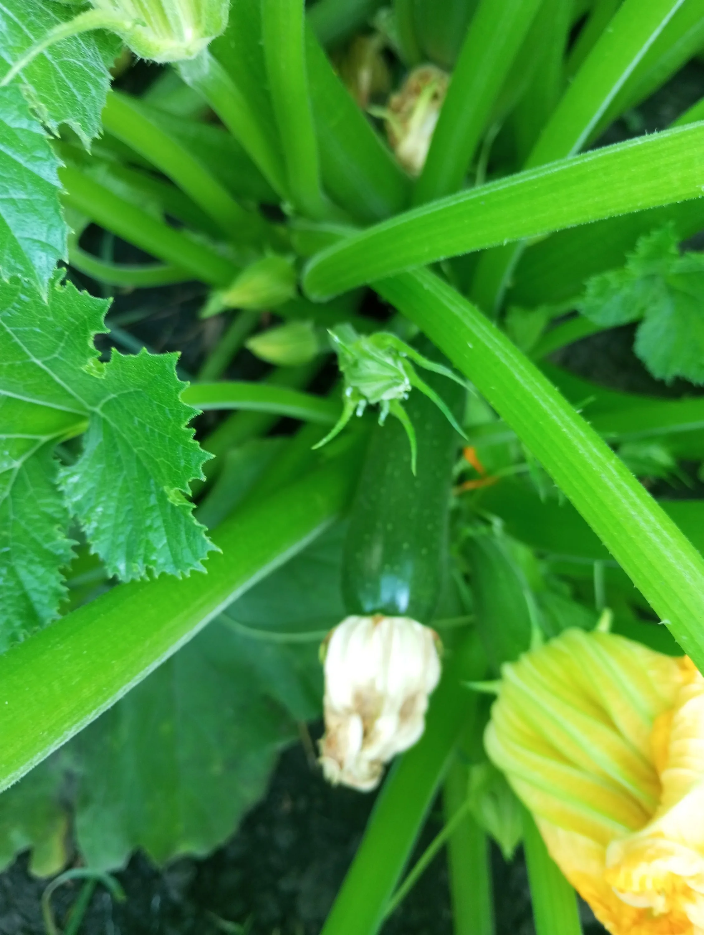 2024-07-16 16-34-38.webp