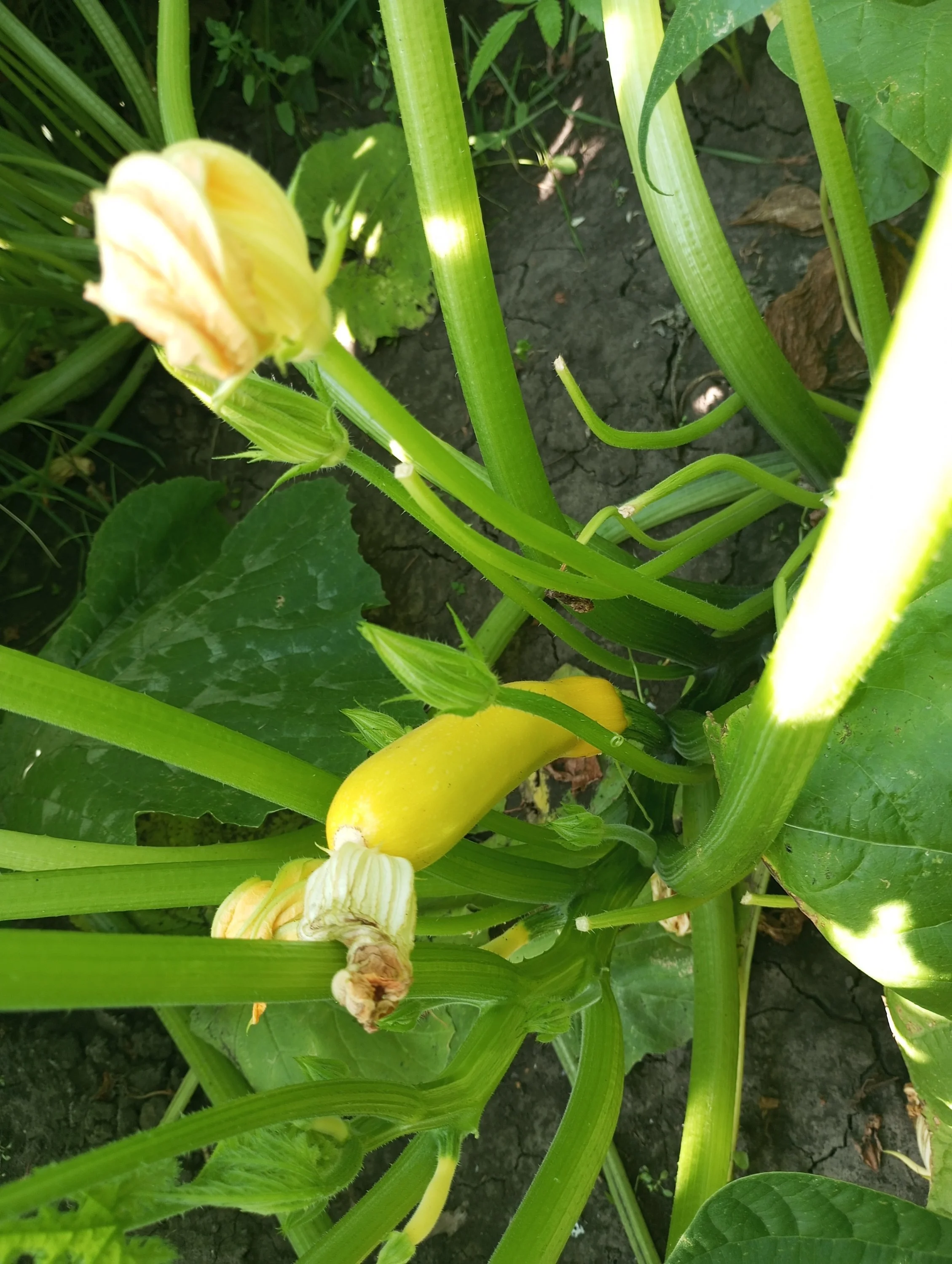 2024-07-16 16-34-51.webp