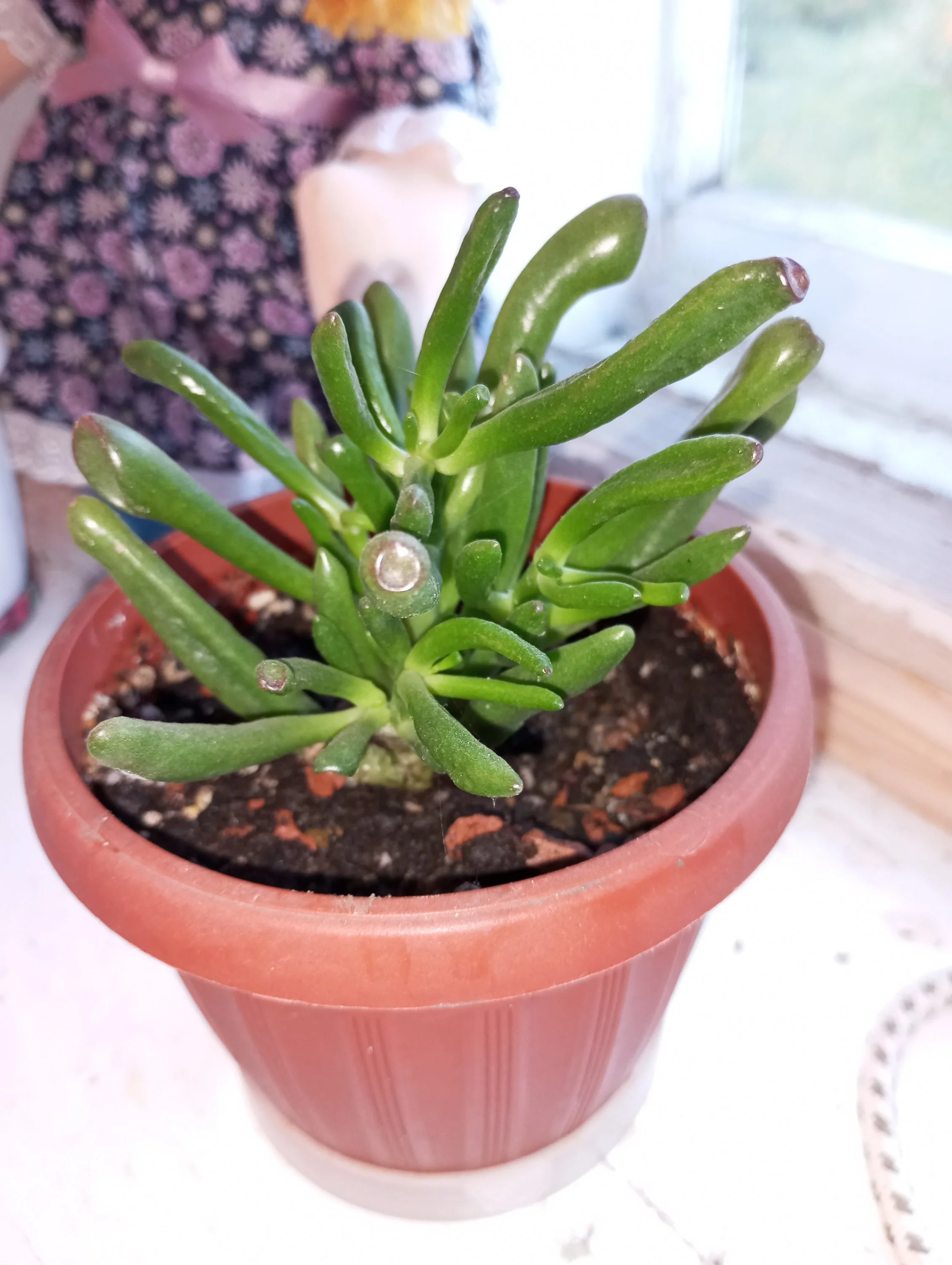 2024-08-10 08-05-45.webp