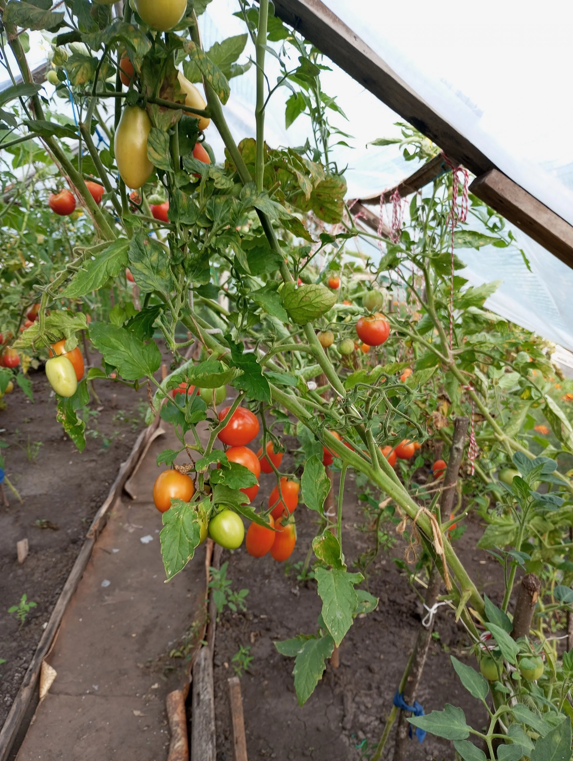 2024-08-13 18-11-15.webp