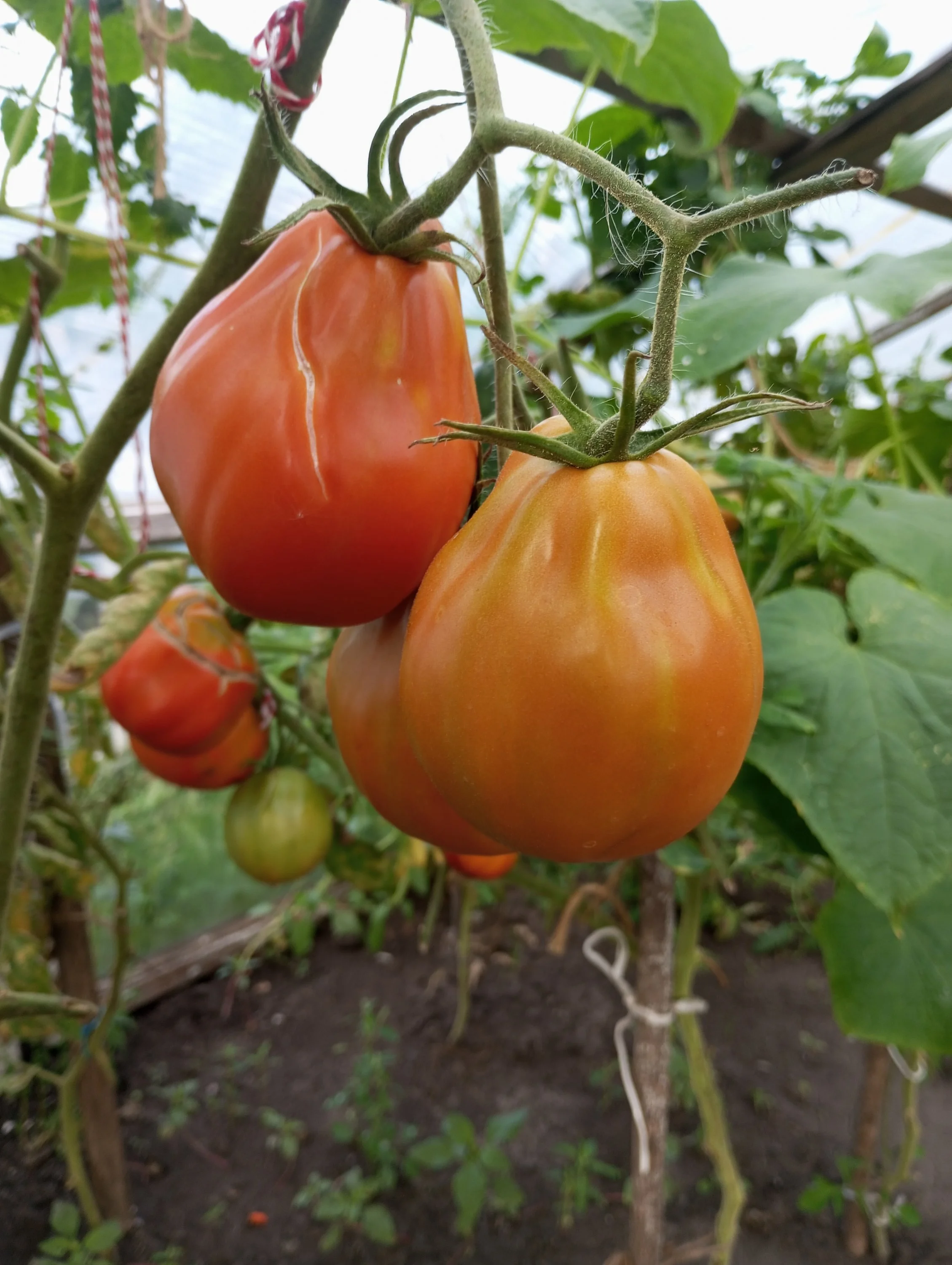 2024-08-13 18-11-21.webp