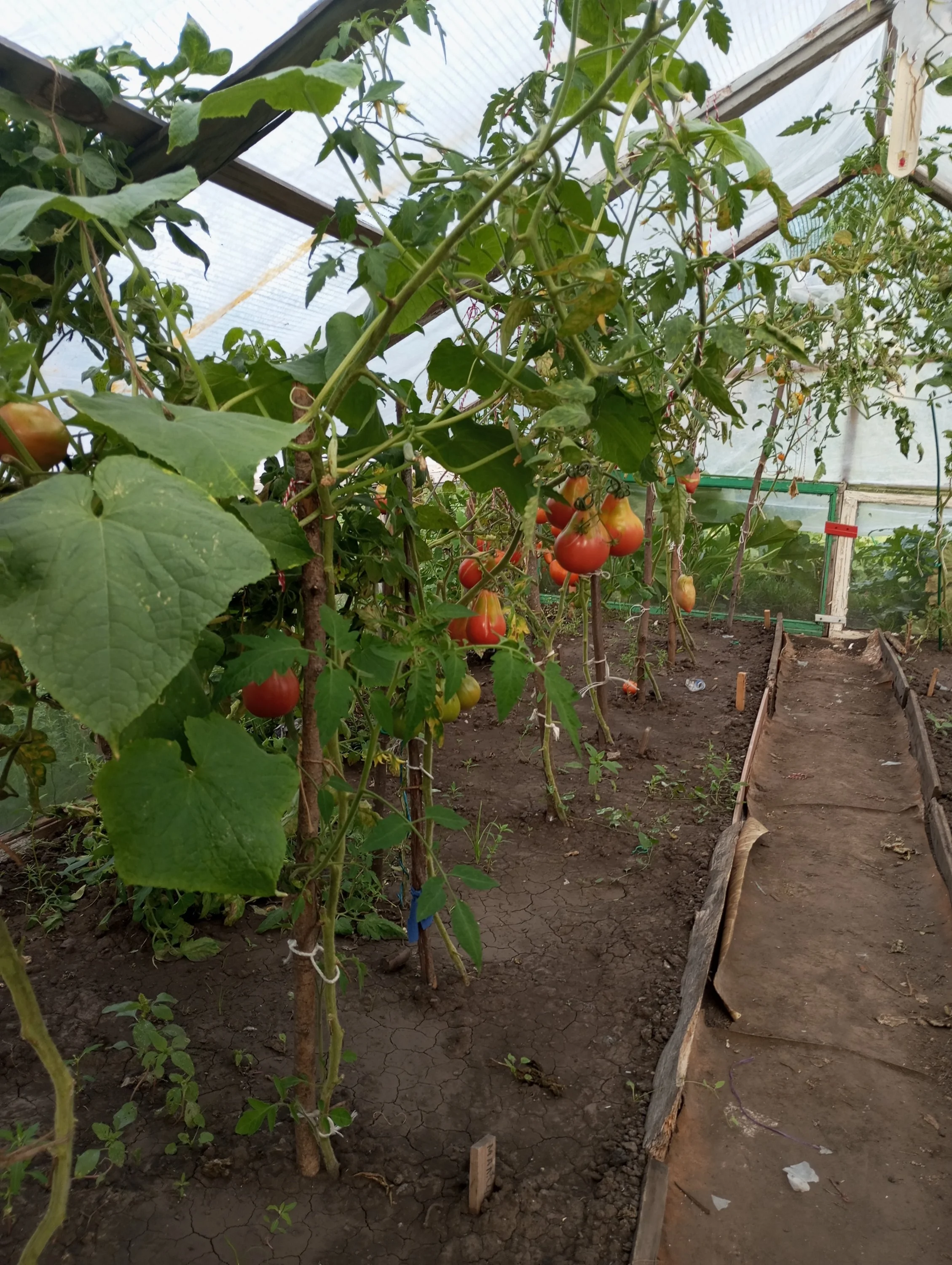 2024-08-13 18-11-28.webp