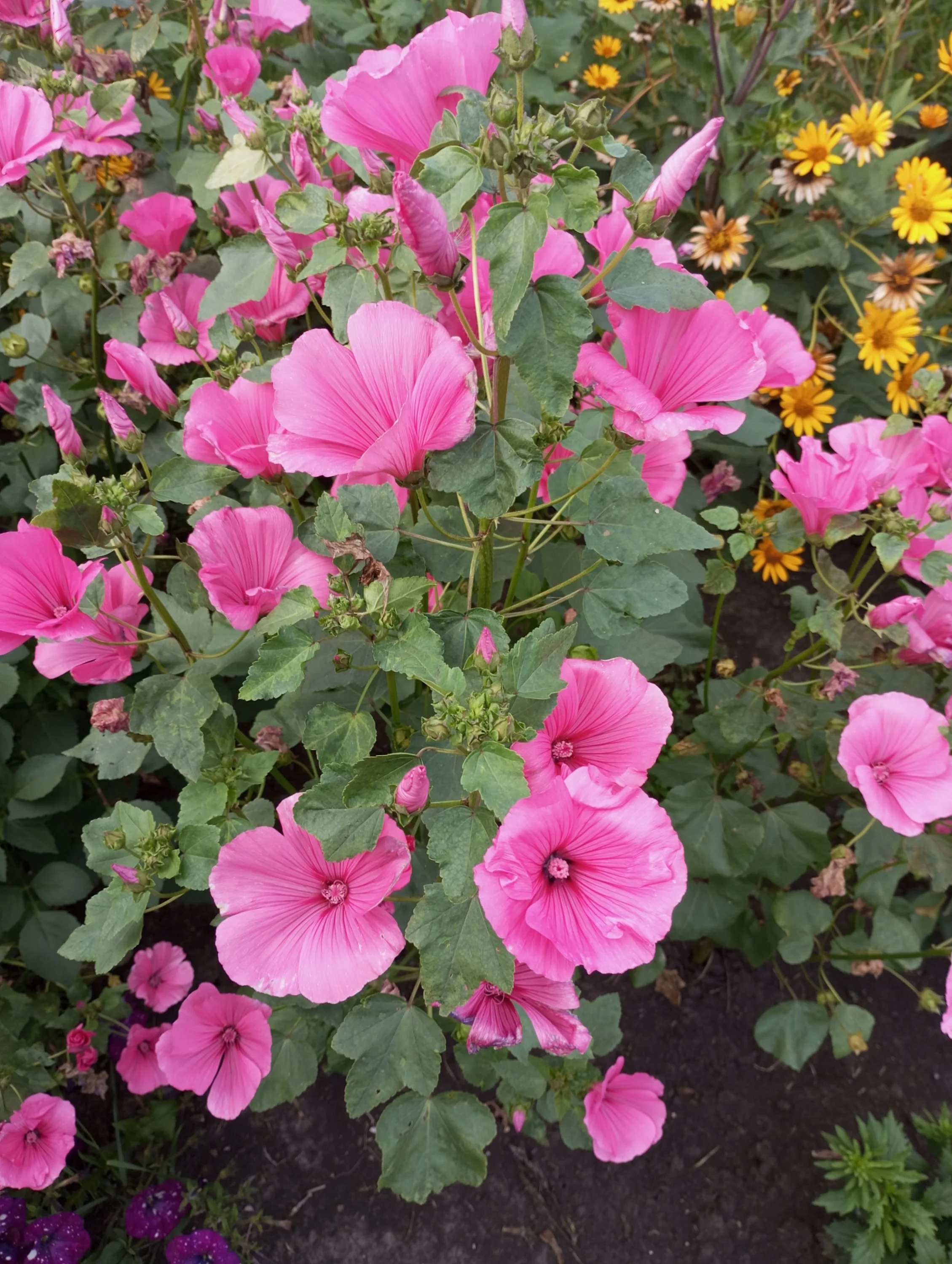 2024-08-13 18-11-59.webp