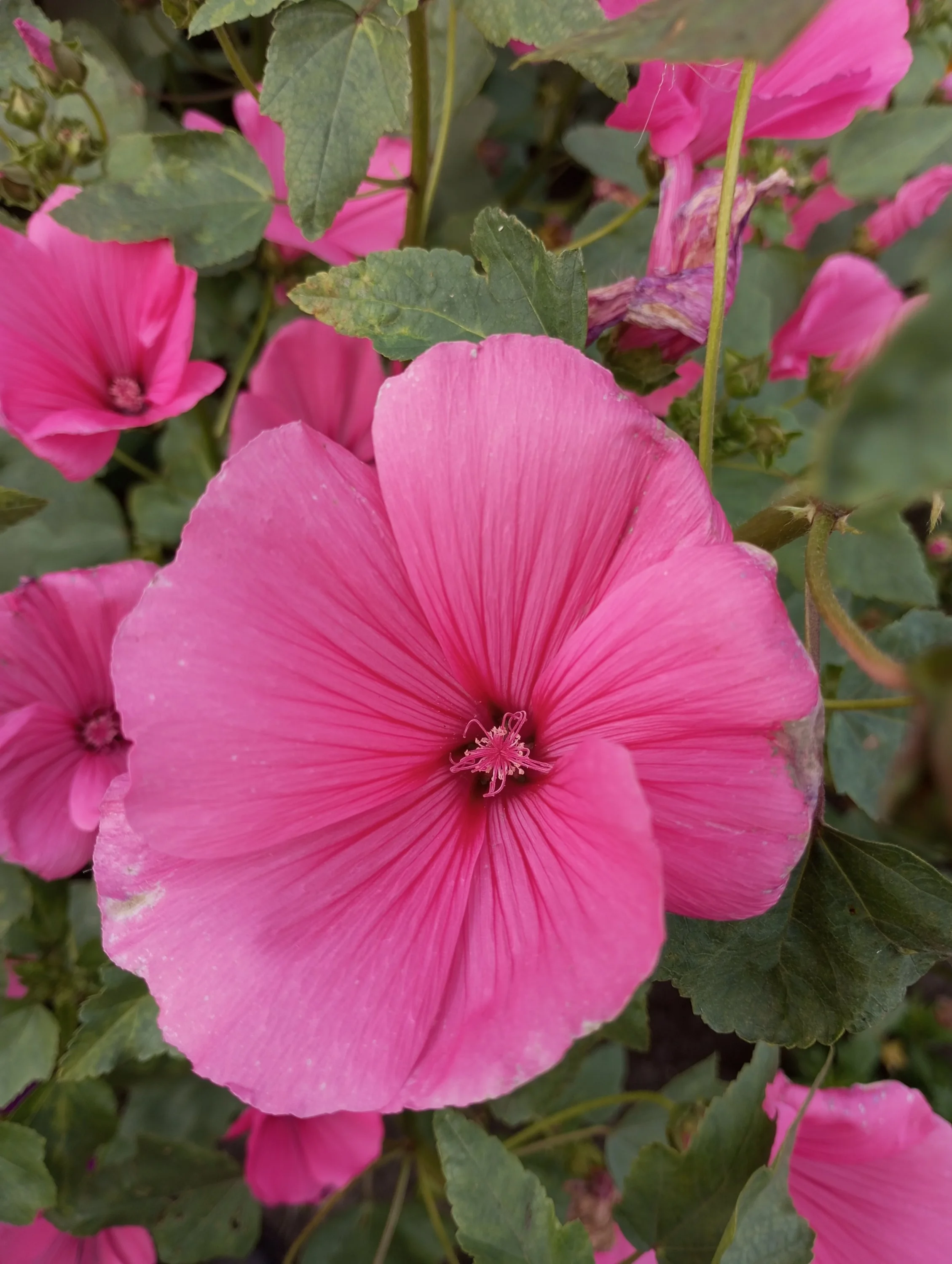 2024-08-13 18-12-04.webp