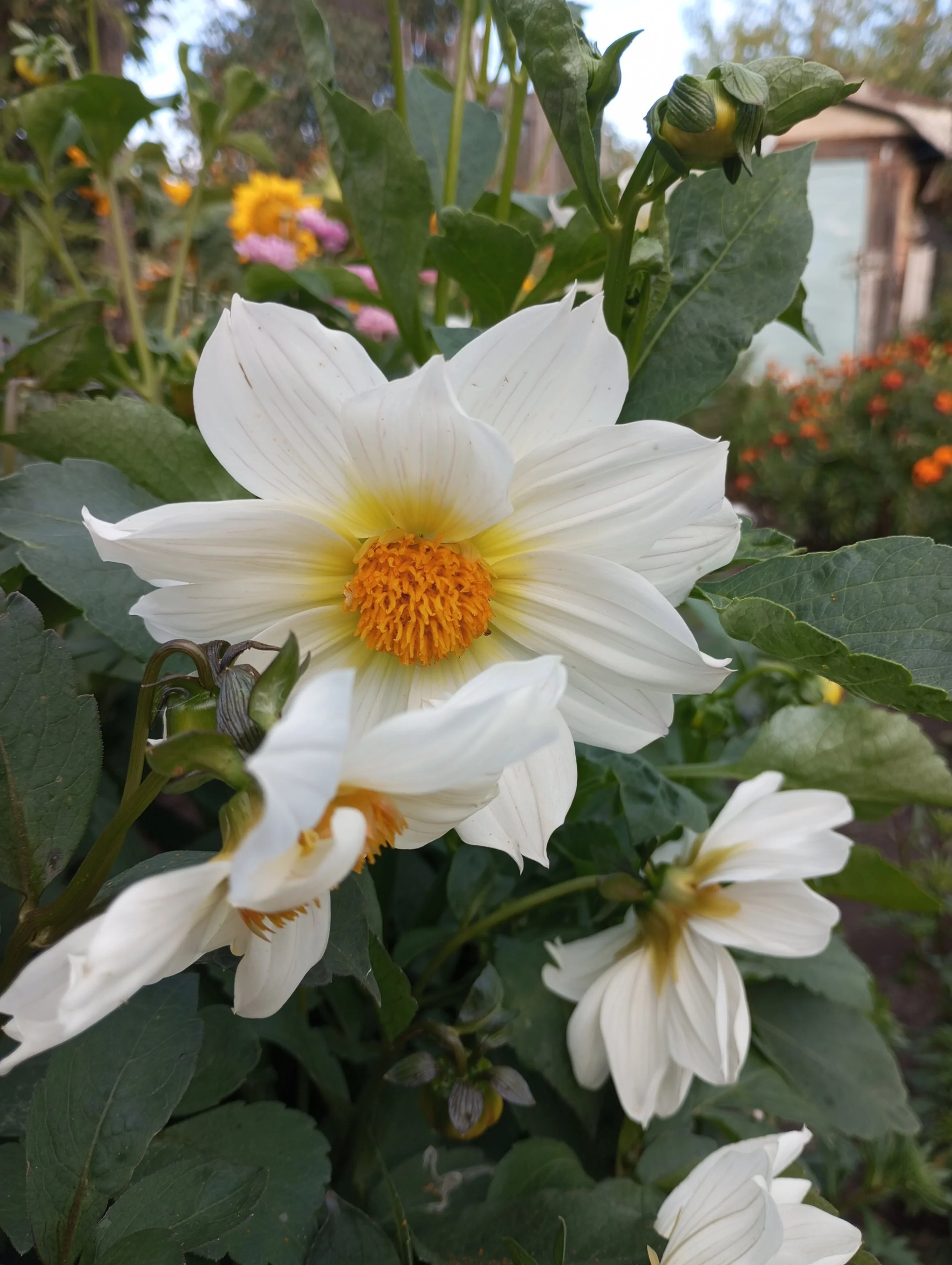 2024-08-13 18-12-23.webp