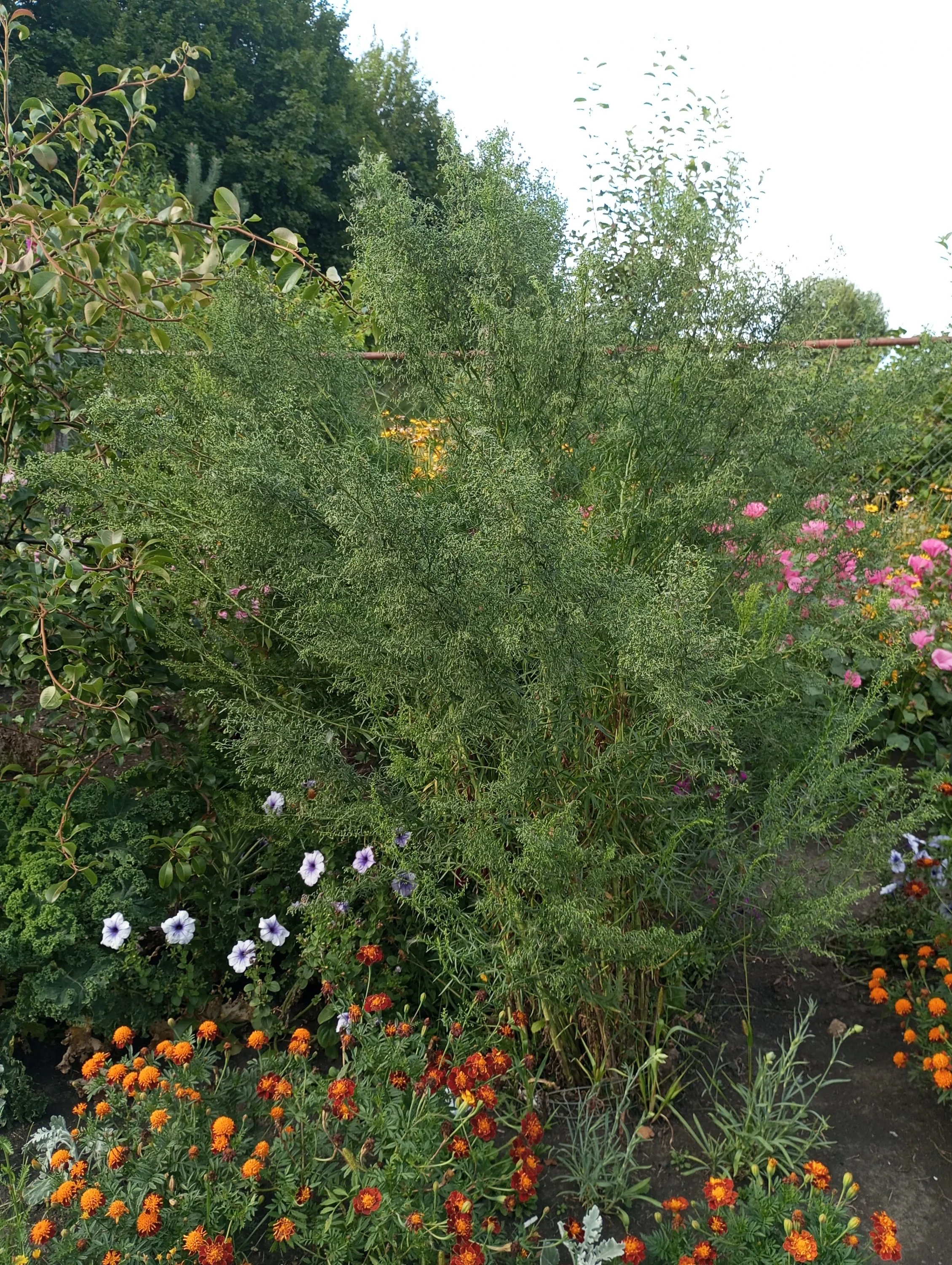 2024-08-13 18-12-43.webp