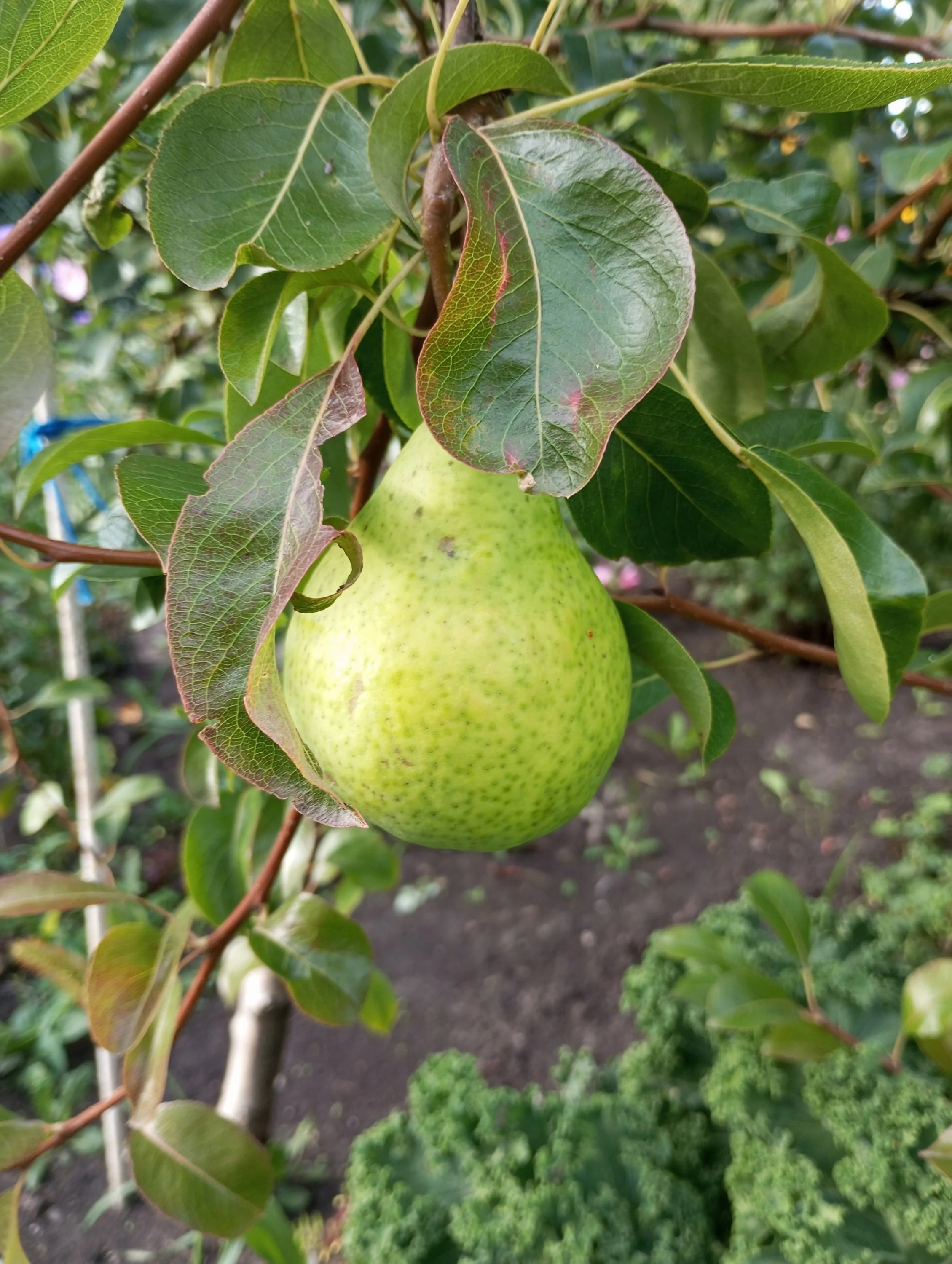 2024-08-13 18-13-01.webp