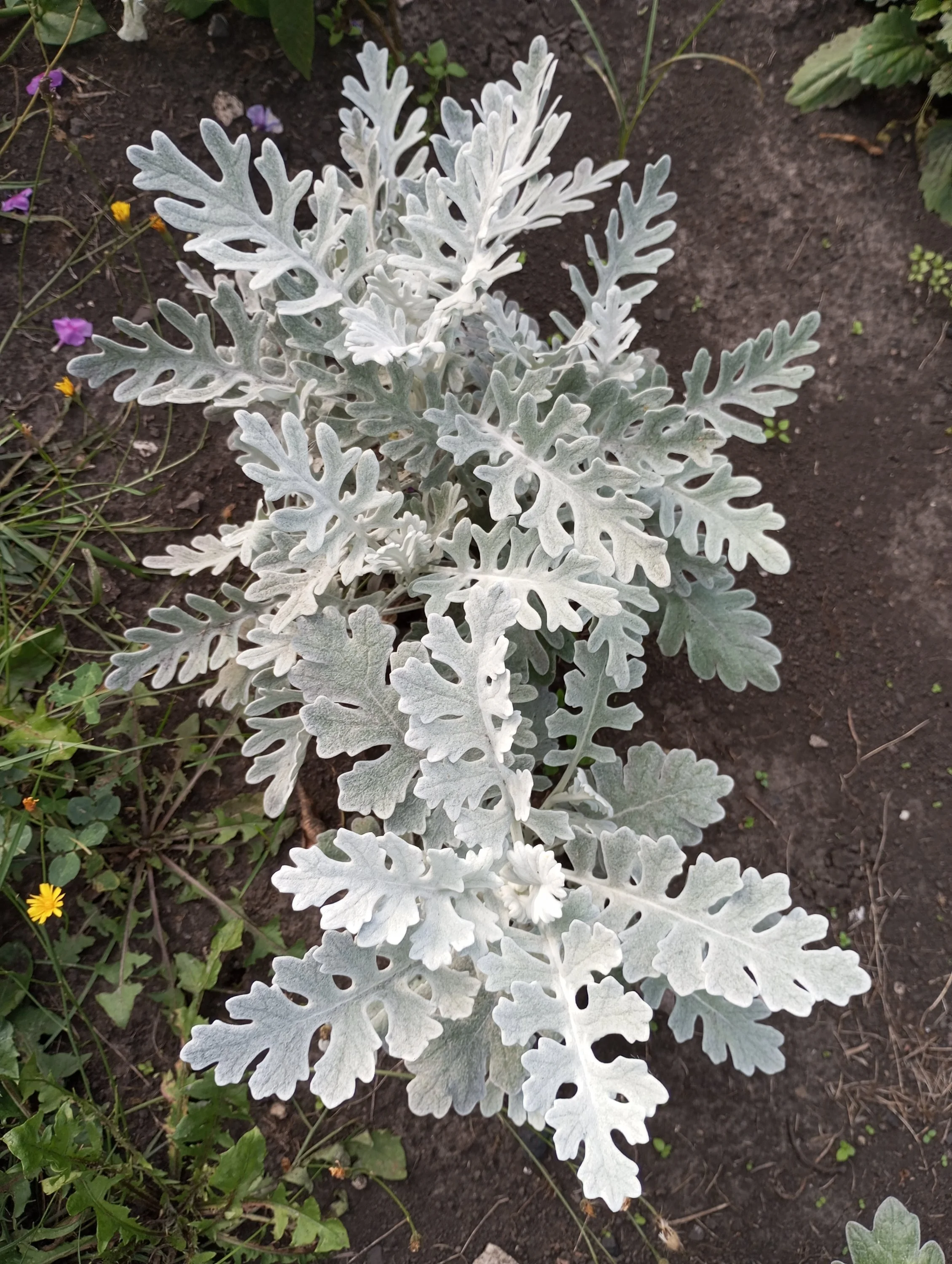 2024-08-13 18-13-07.webp