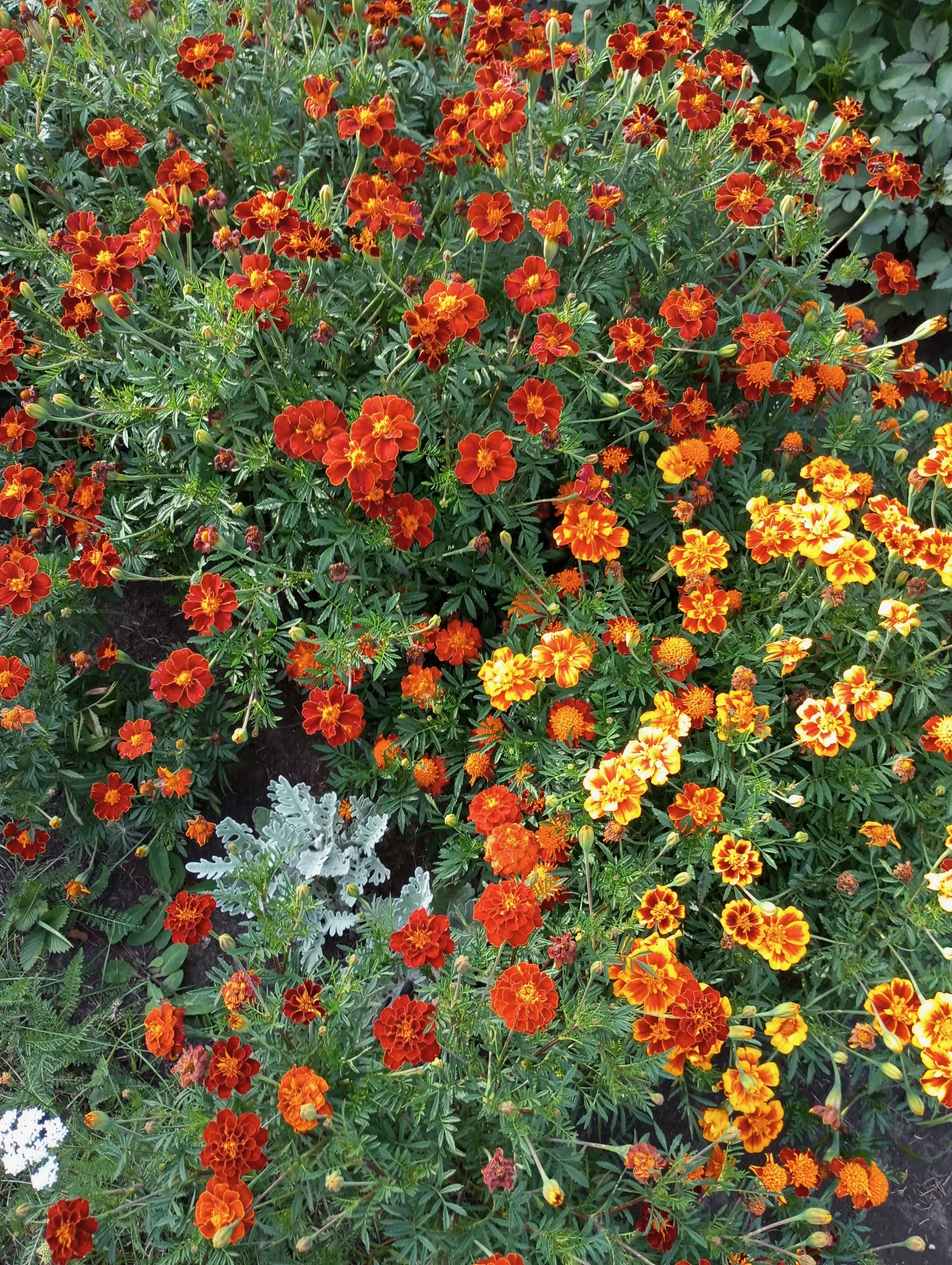 2024-08-13 18-13-37.webp