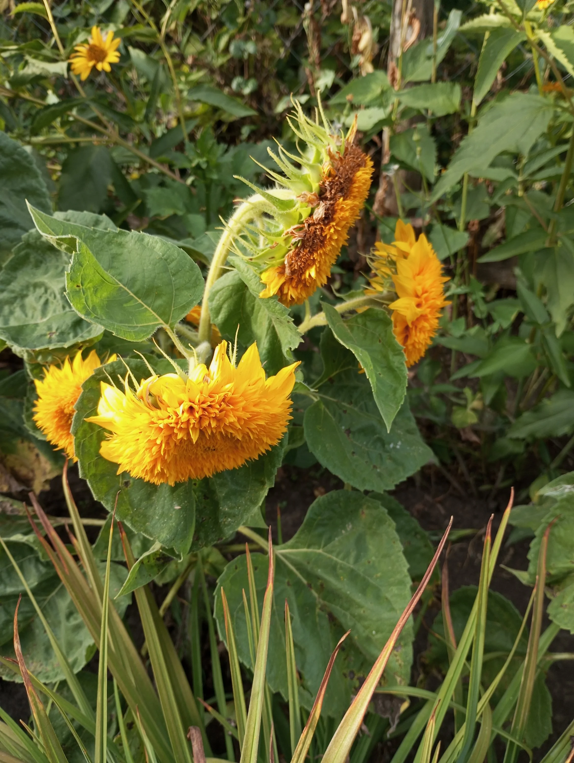 2024-08-13 18-13-49.webp