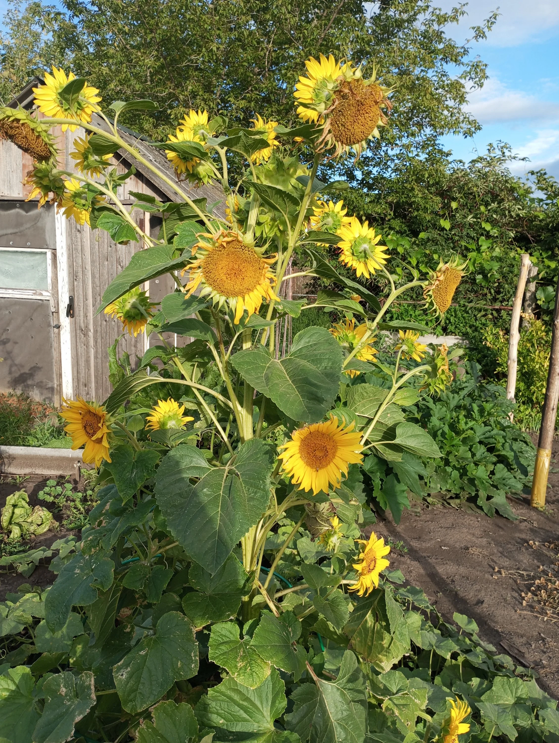 2024-08-13 18-14-26.webp