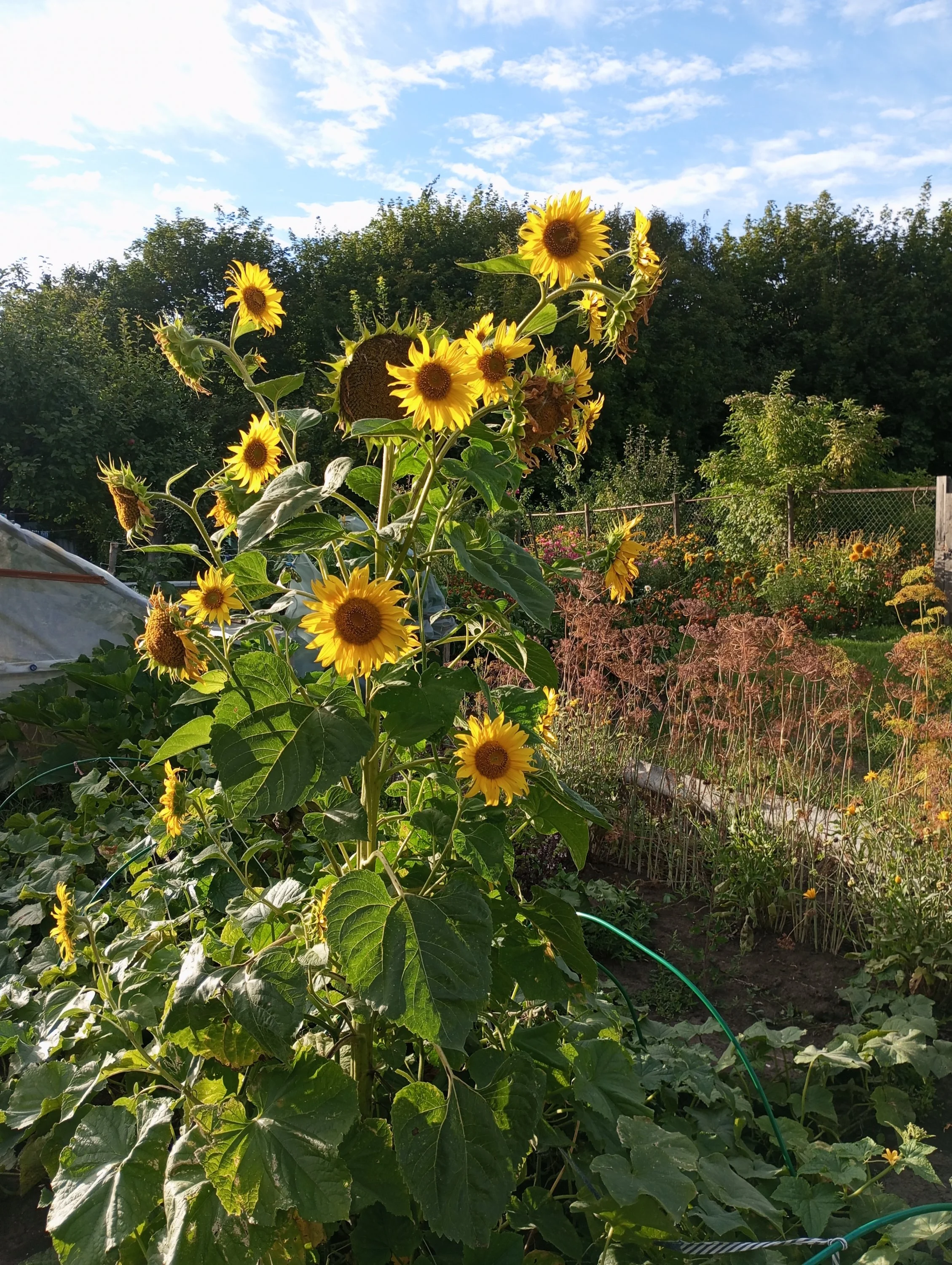 2024-08-13 18-15-15.webp