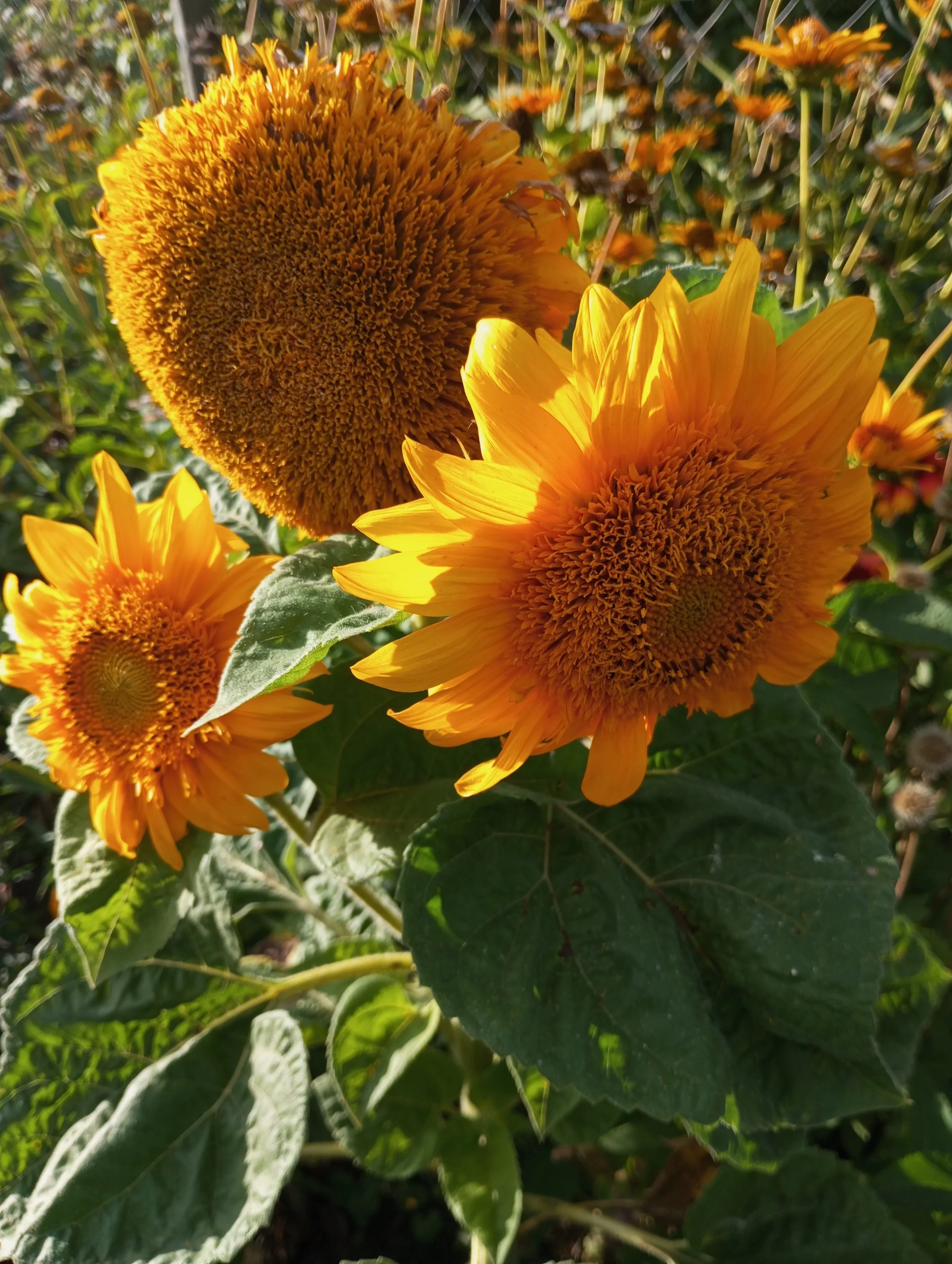 2024-08-13 18-15-40.webp