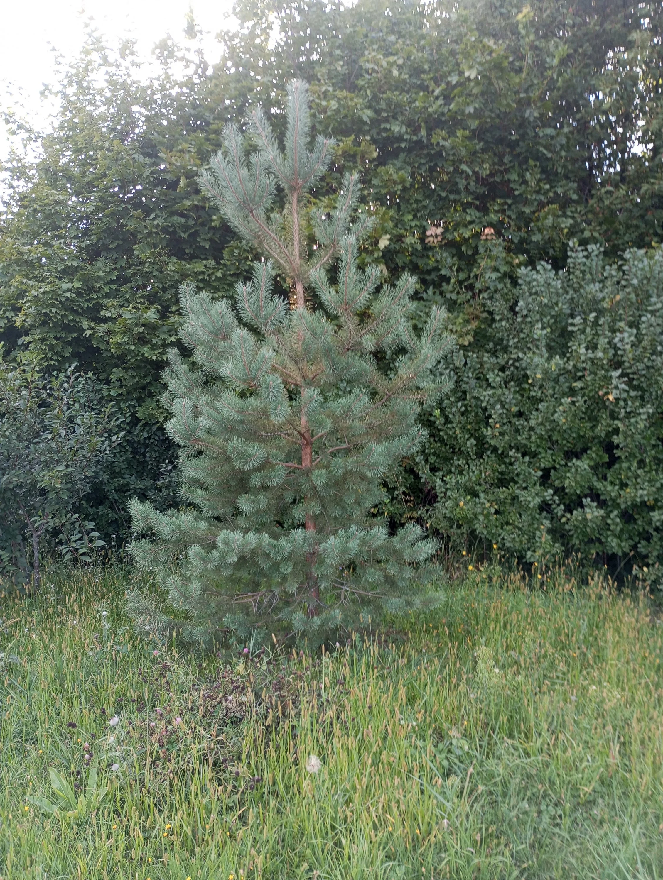 2024-08-13 18-16-14.webp