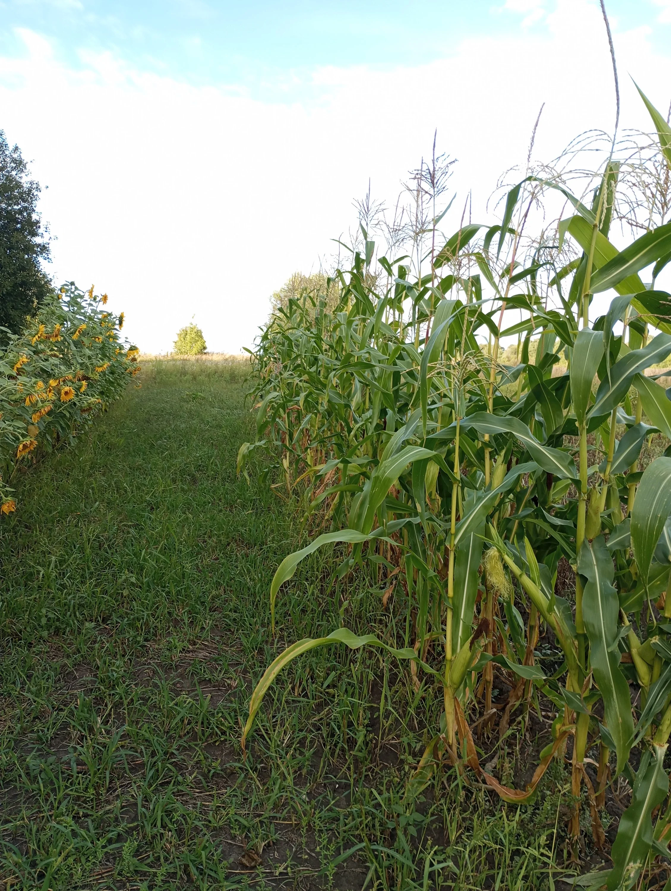 2024-08-13 18-16-56.webp