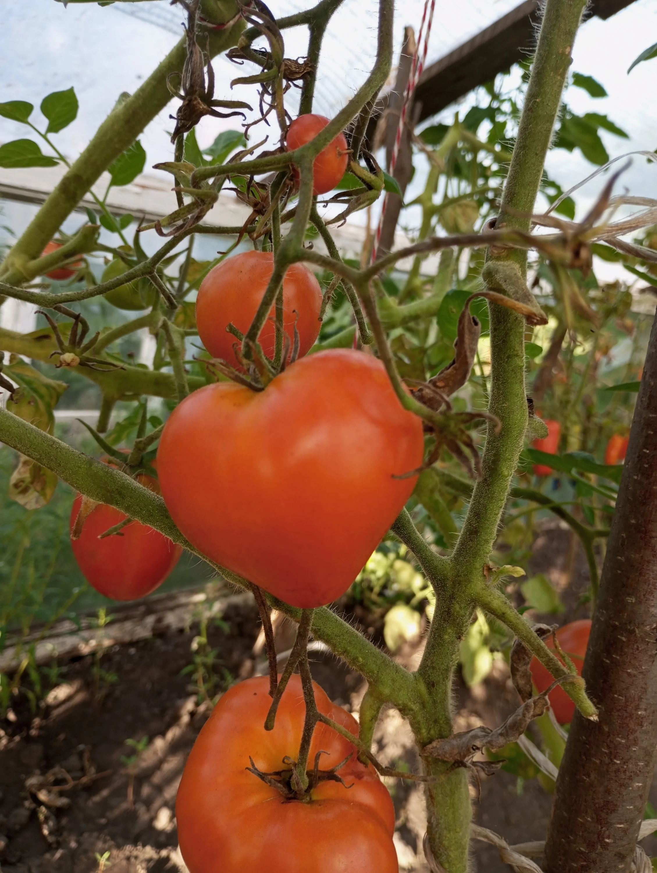 2024-08-13 18-18-38.webp