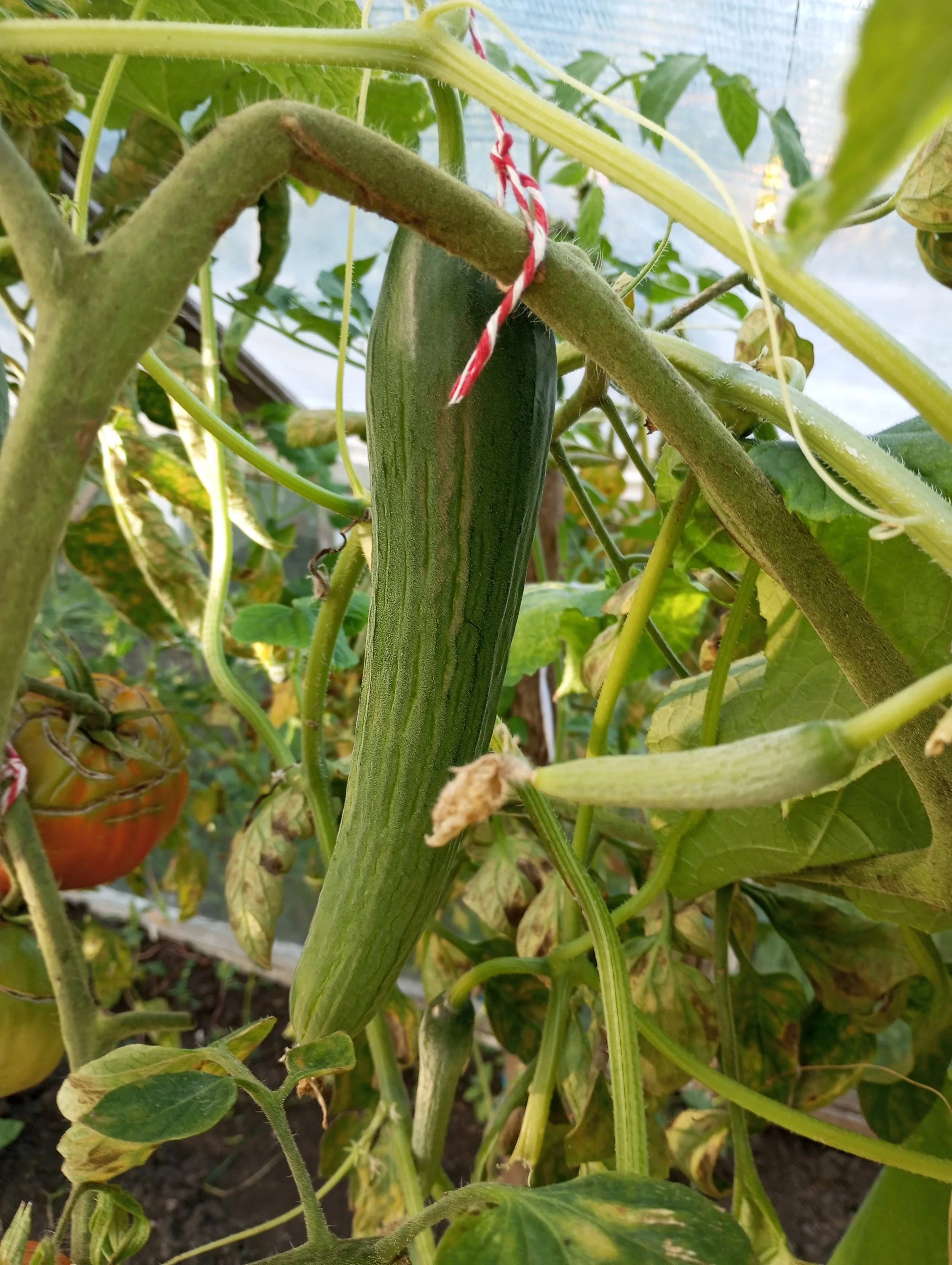 2024-08-13 18-18-57.webp