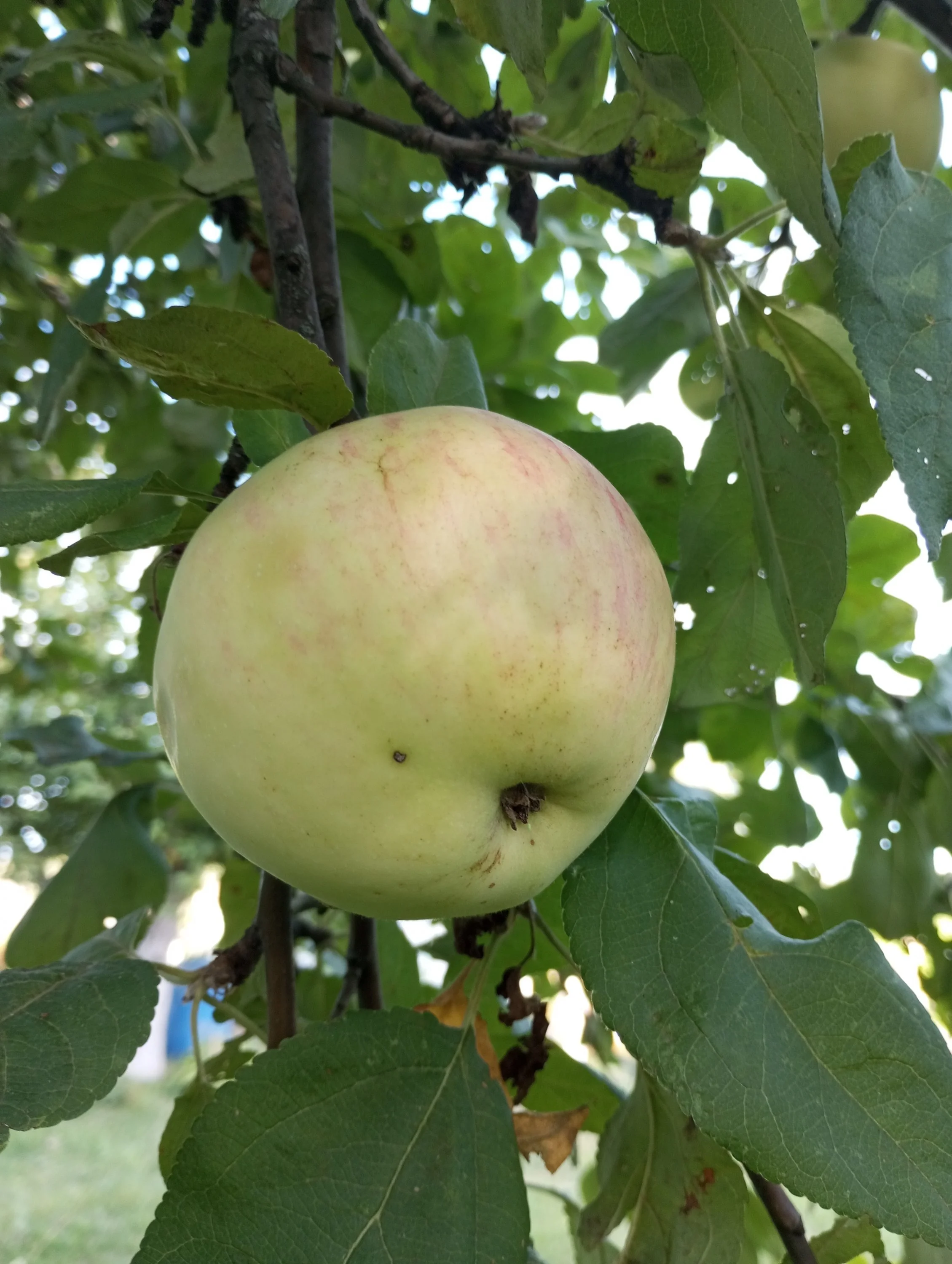 2024-08-13 18-26-13.webp