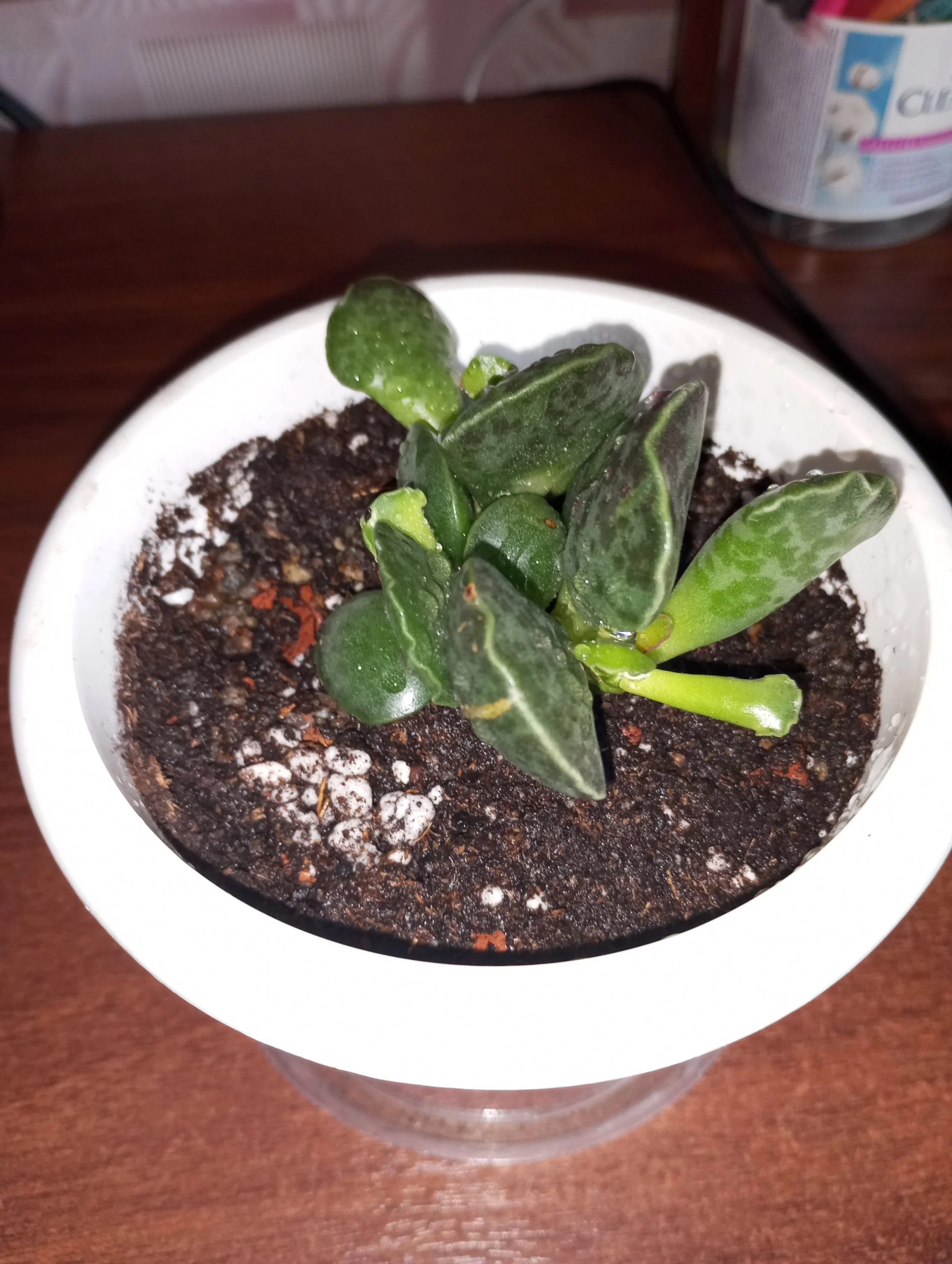 2024-08-15 11-59-15.webp