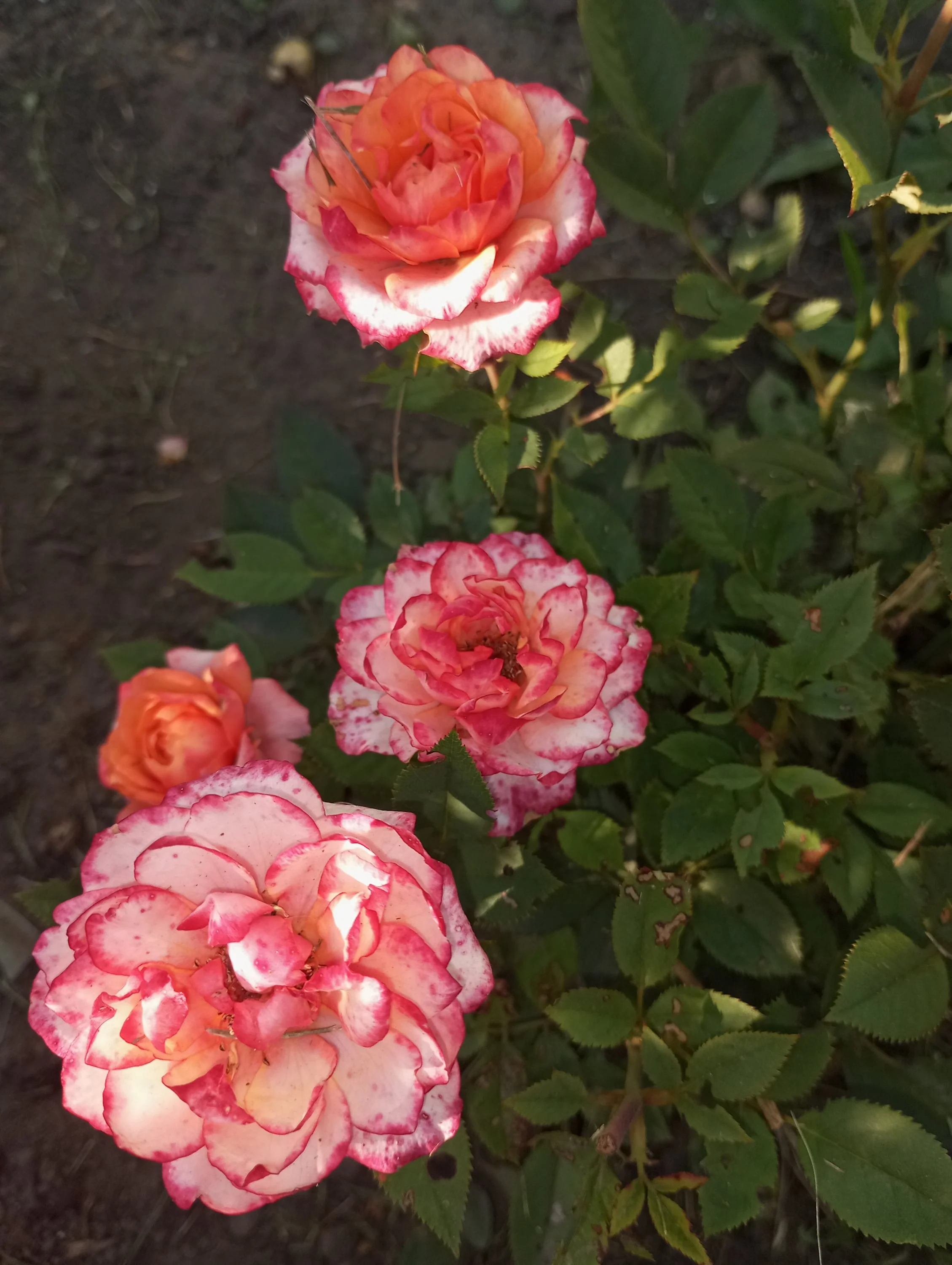 2024-08-15 18-08-38.webp