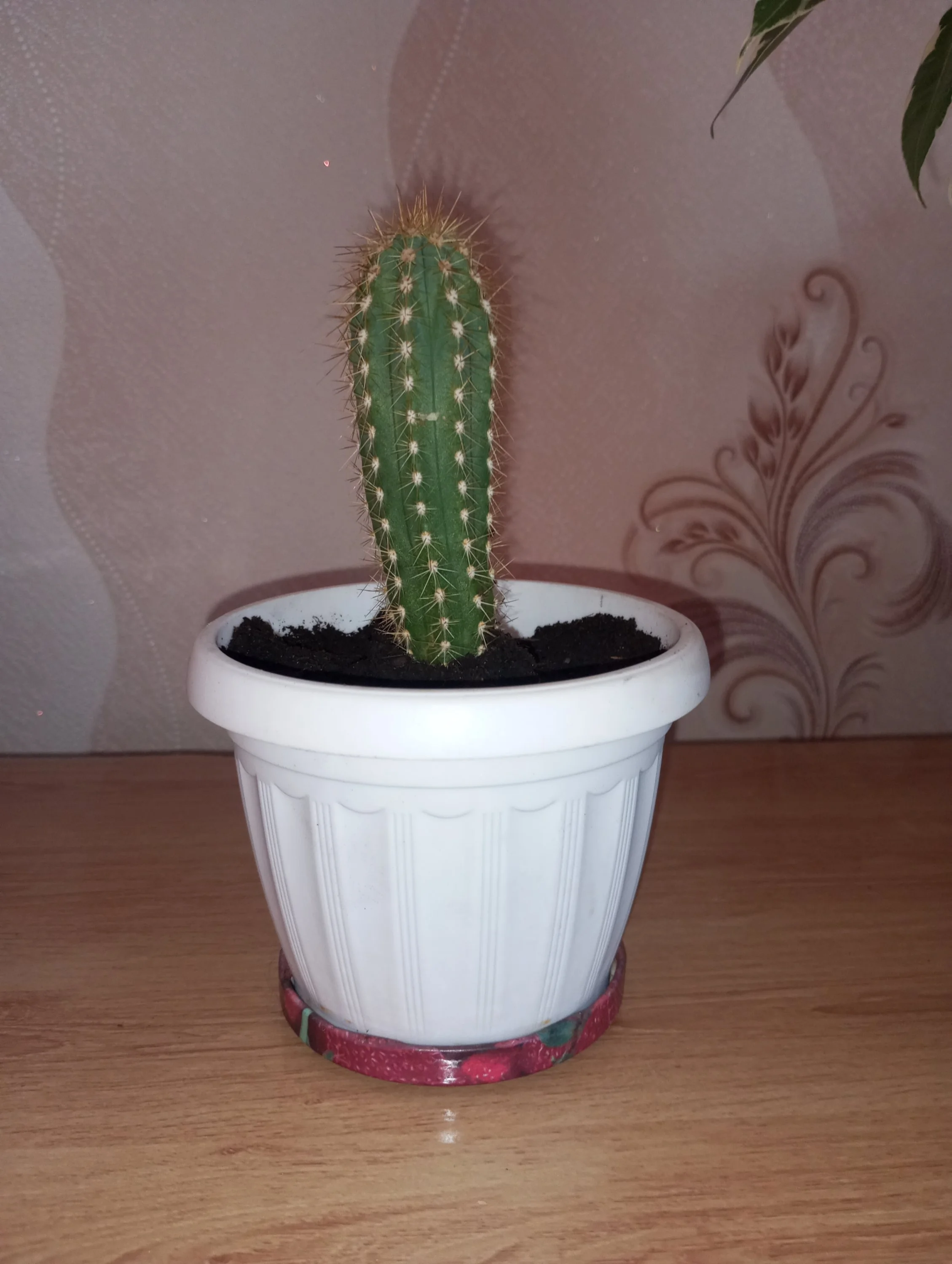 2024-08-17 16-37-02.webp