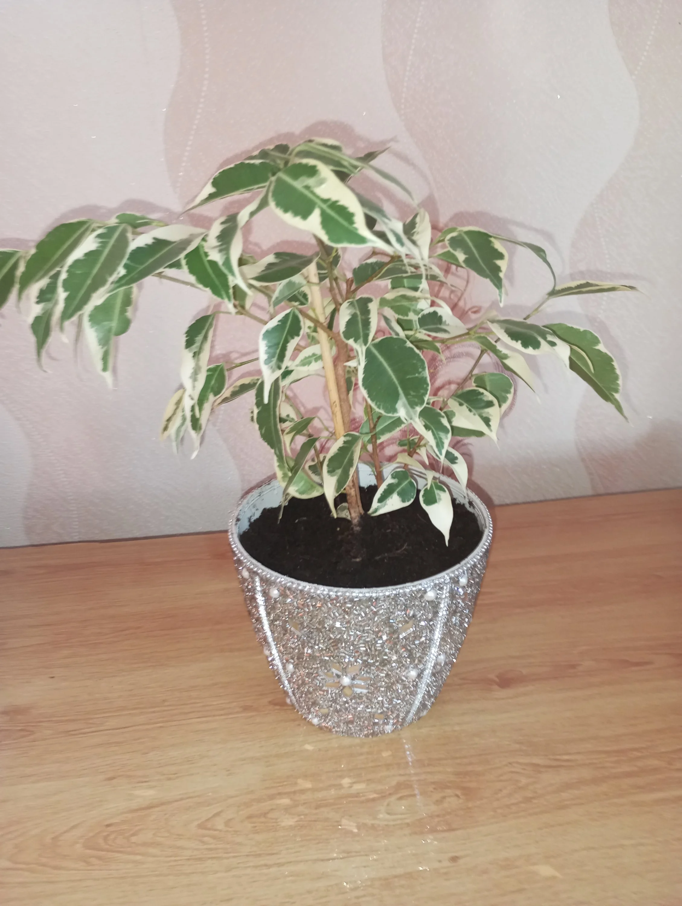 2024-08-17 16-37-11.webp