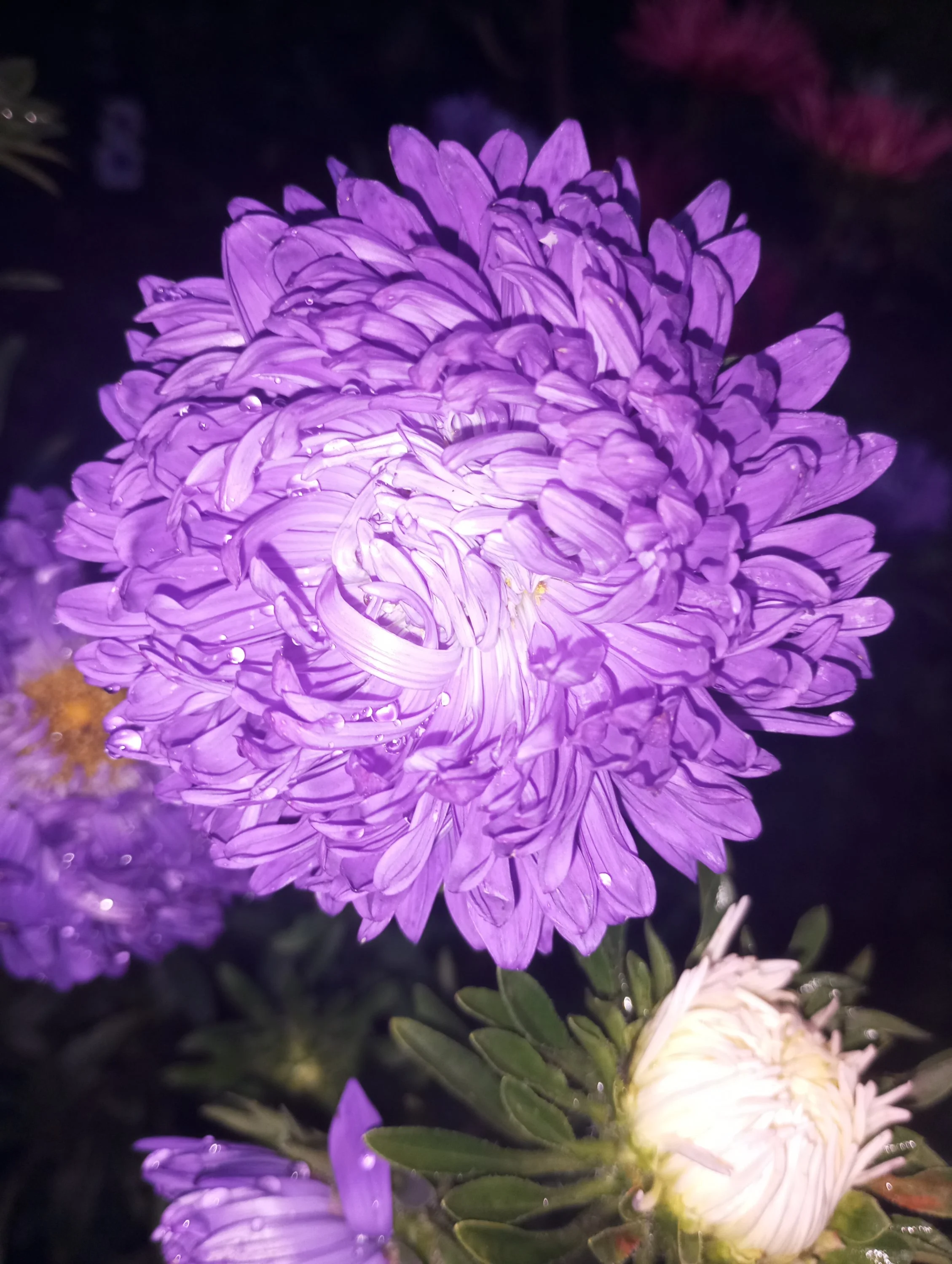 2024-08-17 19-59-14.webp