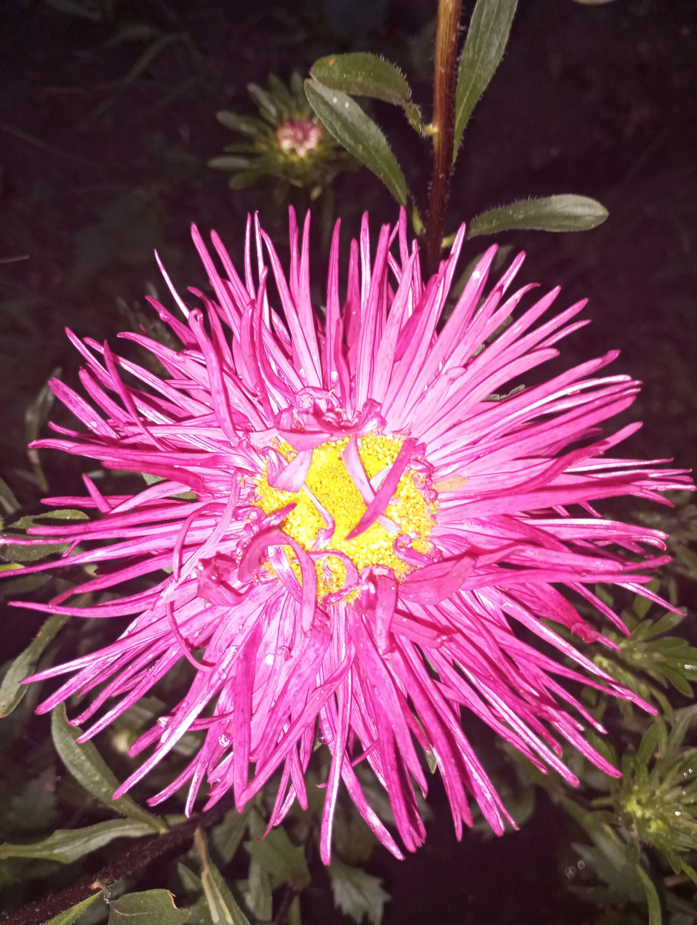 2024-08-17 19-59-22.webp