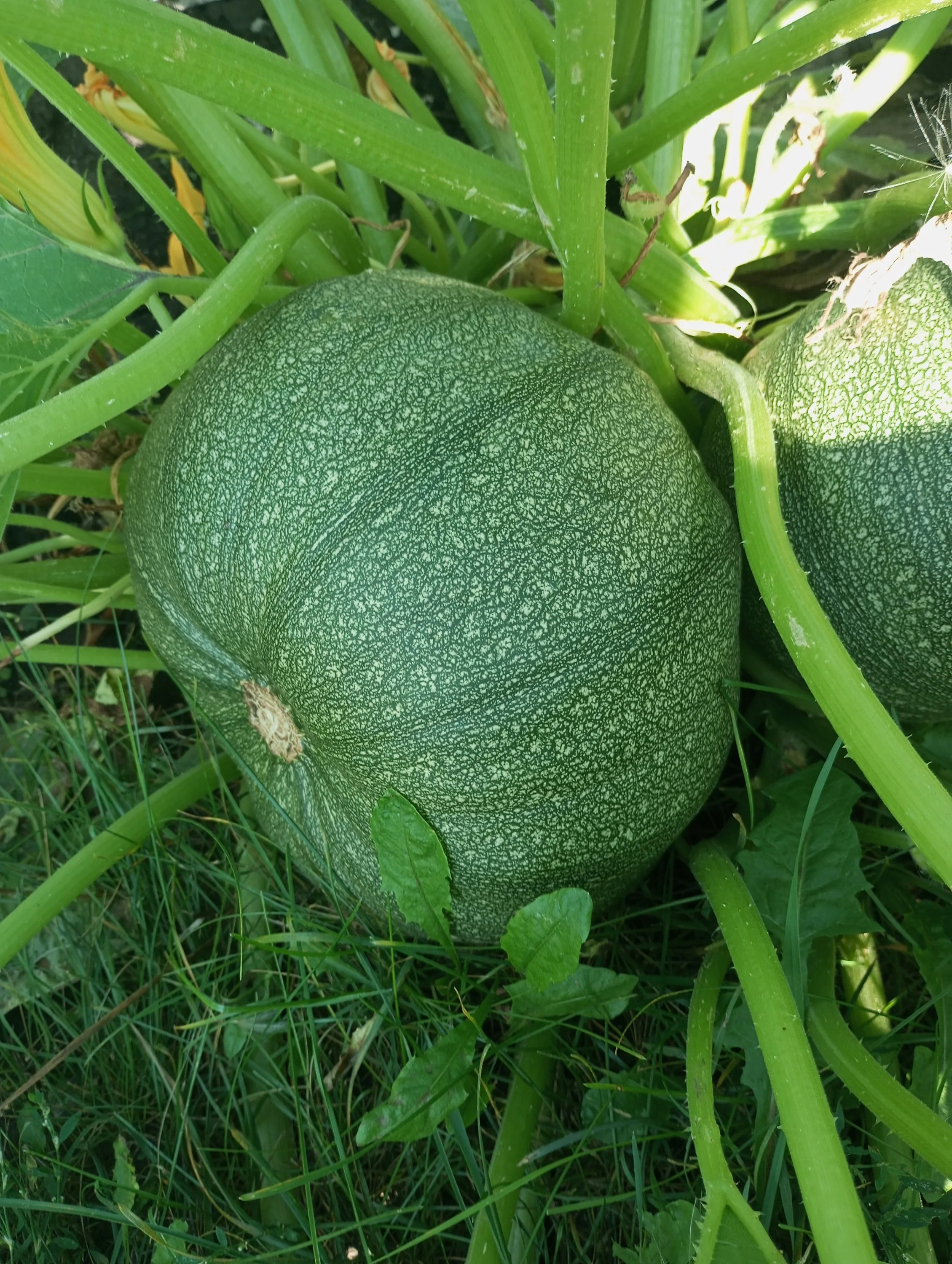 2024-08-21 09-45-01.webp