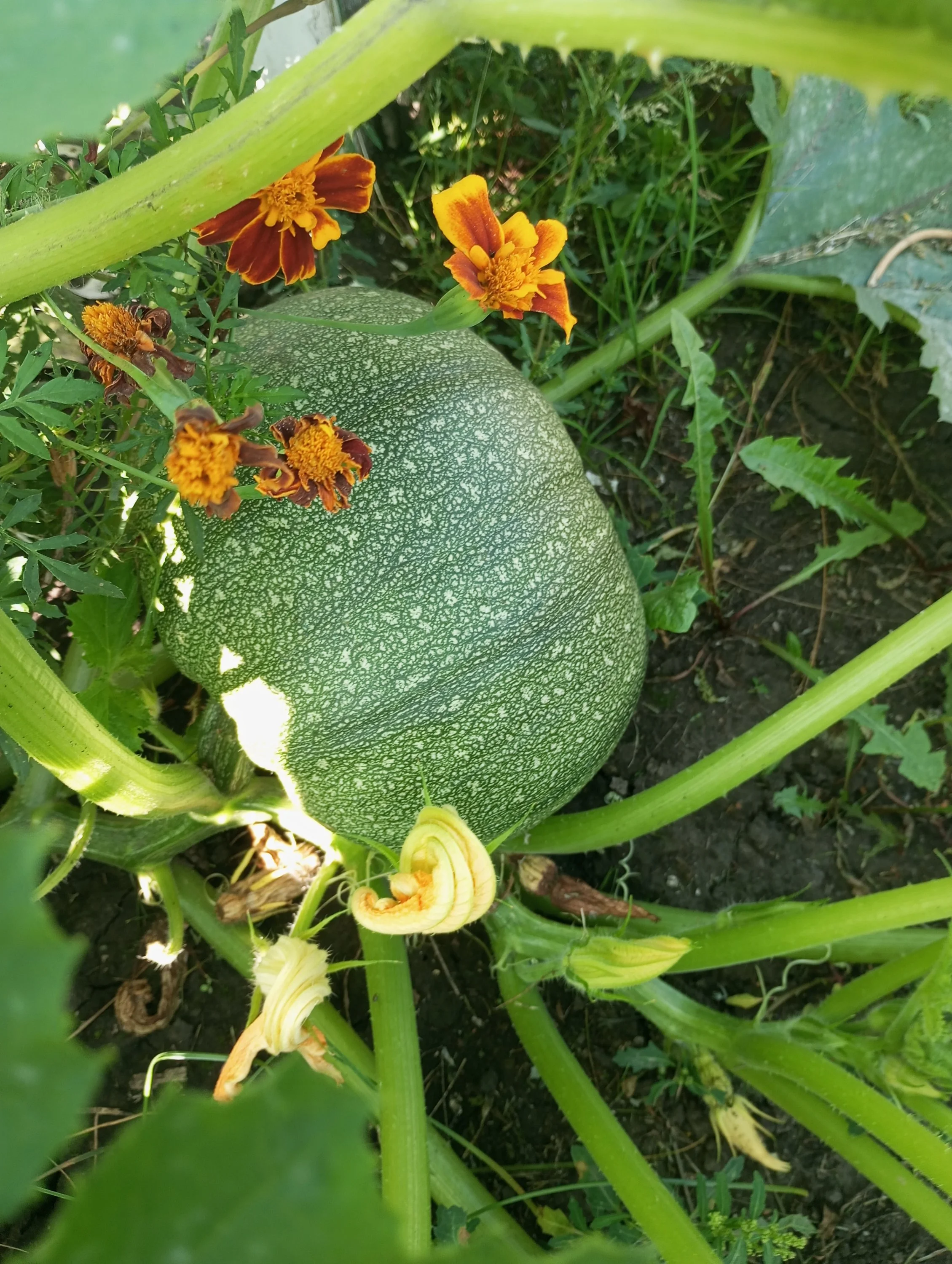 2024-08-21 09-45-06.webp