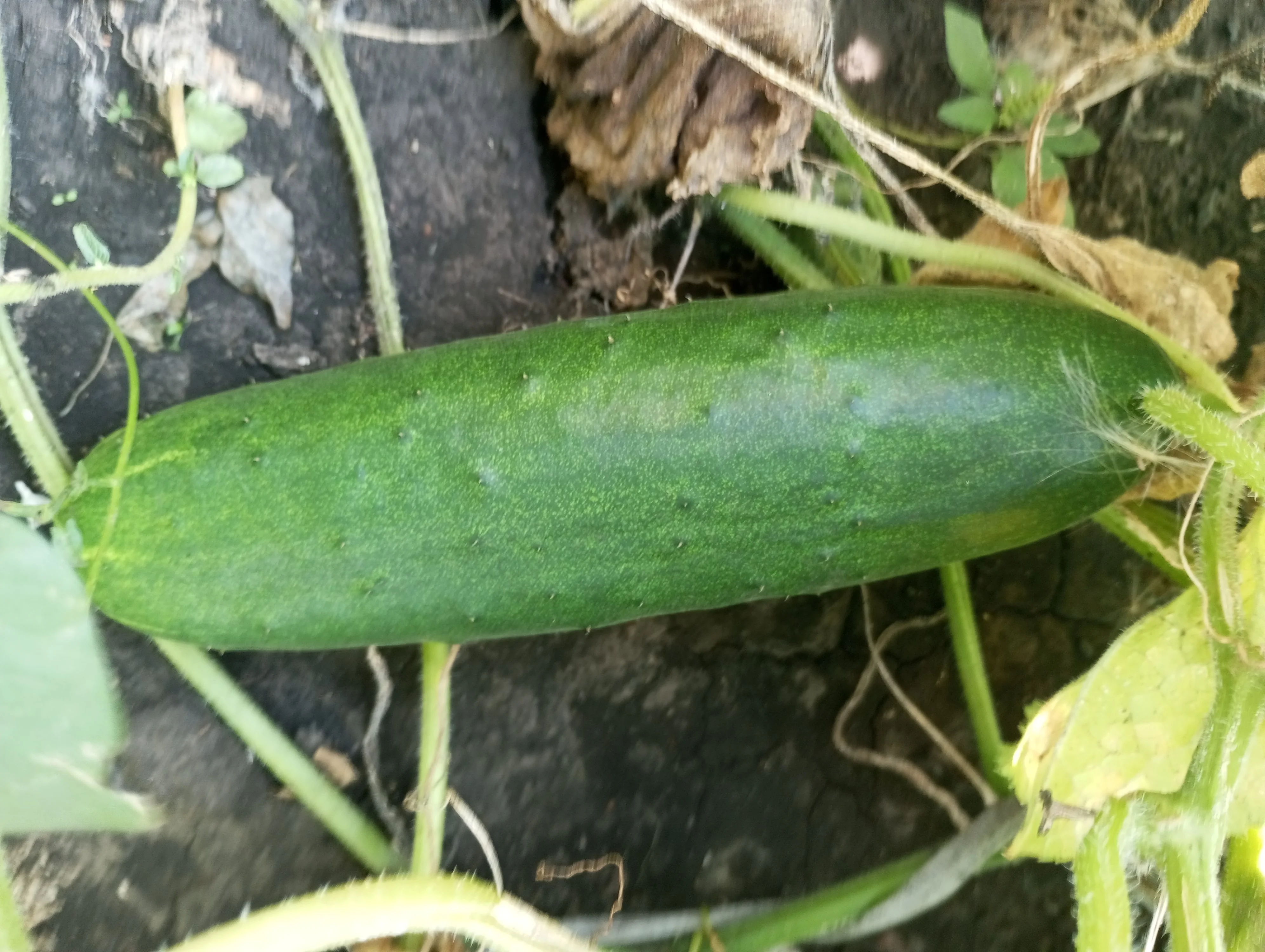 2024-08-21 09-45-21.webp