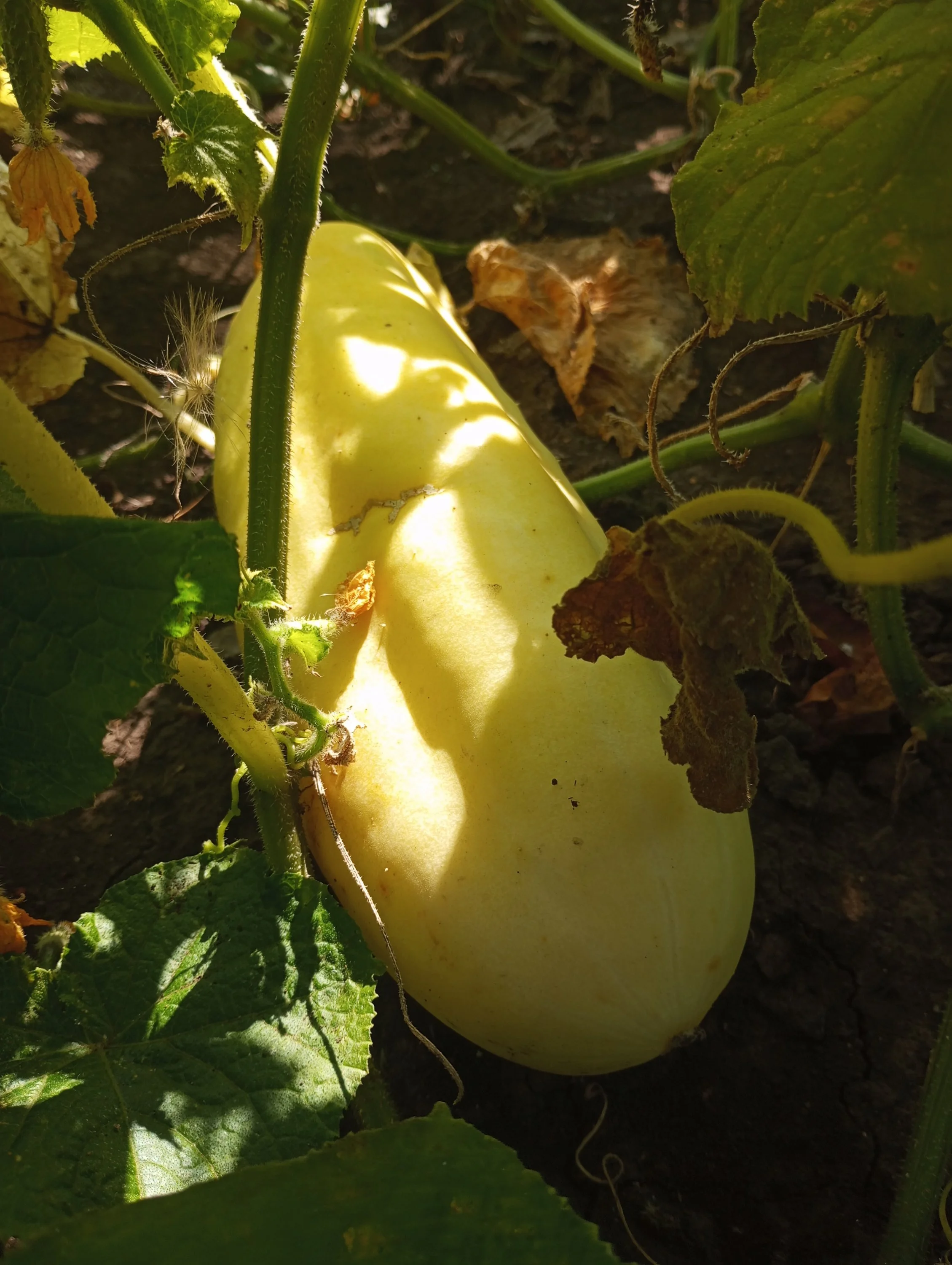 2024-08-21 09-45-33.webp