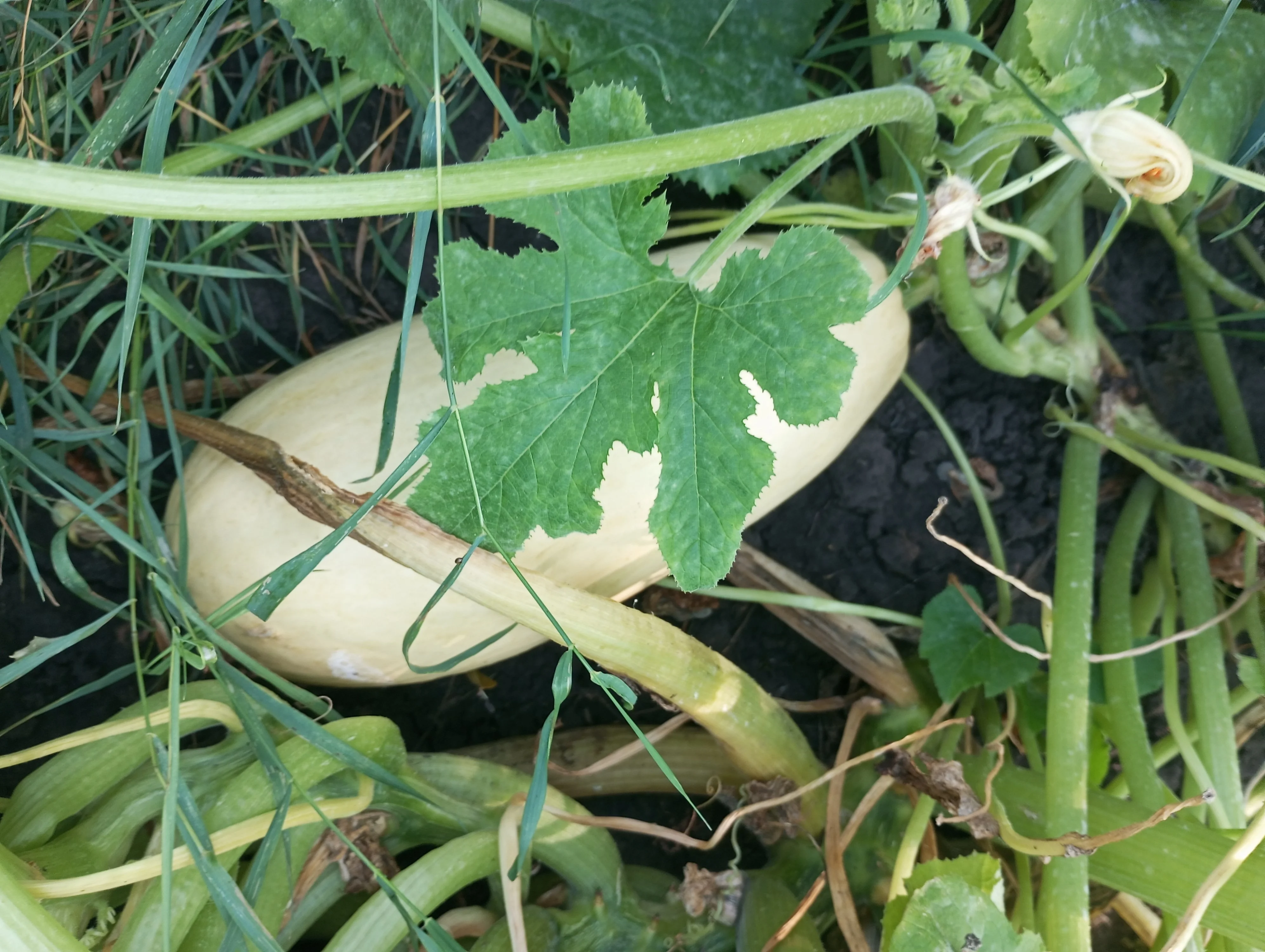 2024-08-21 09-45-46.webp