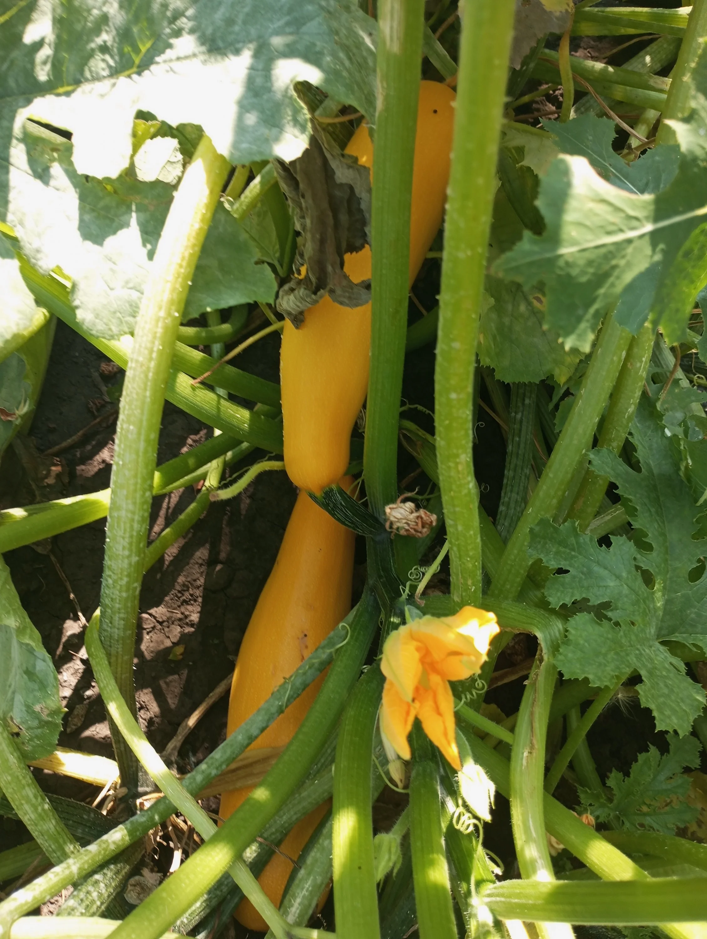 2024-08-21 09-46-02.webp