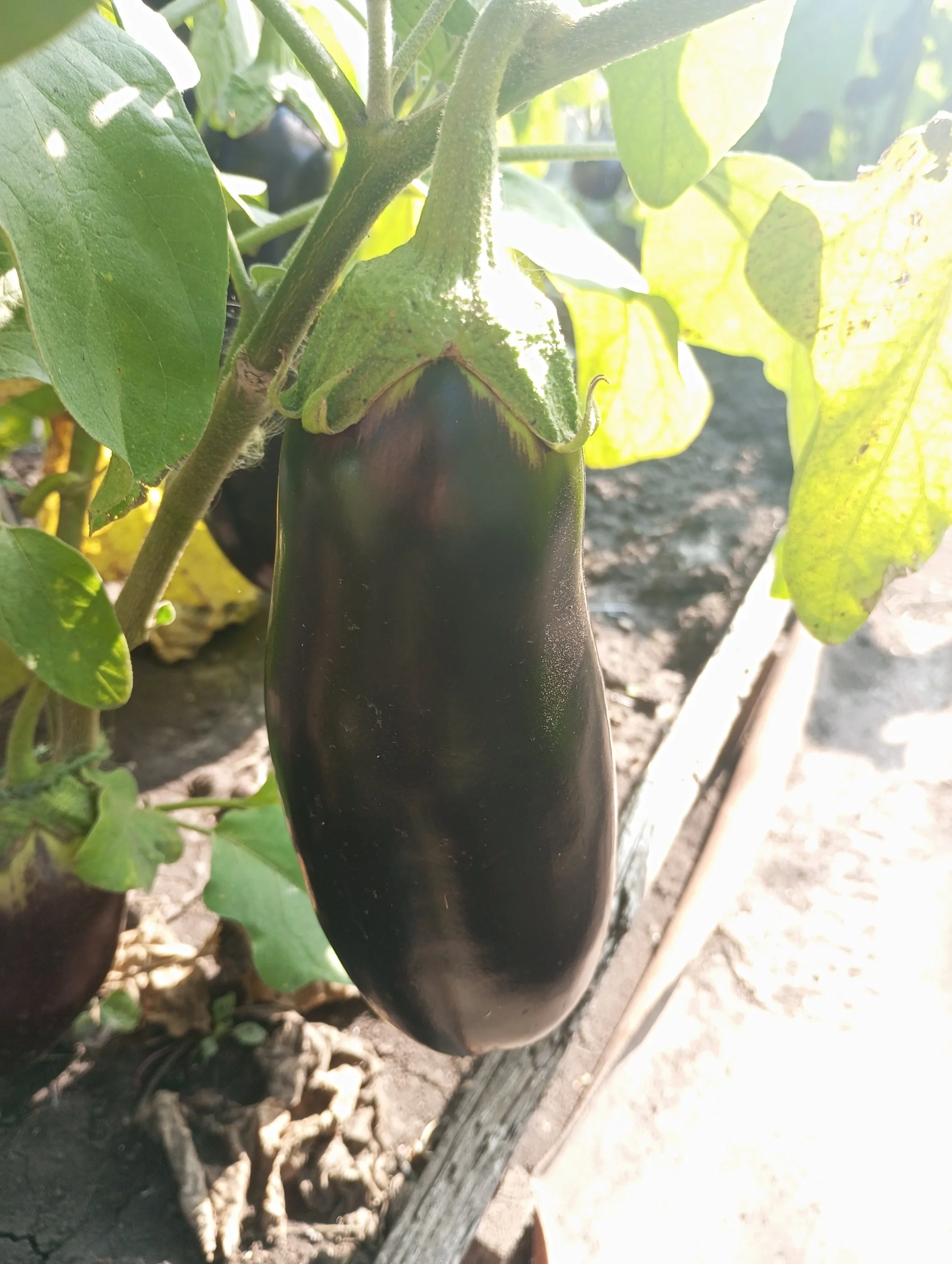 2024-08-21 09-47-11.webp