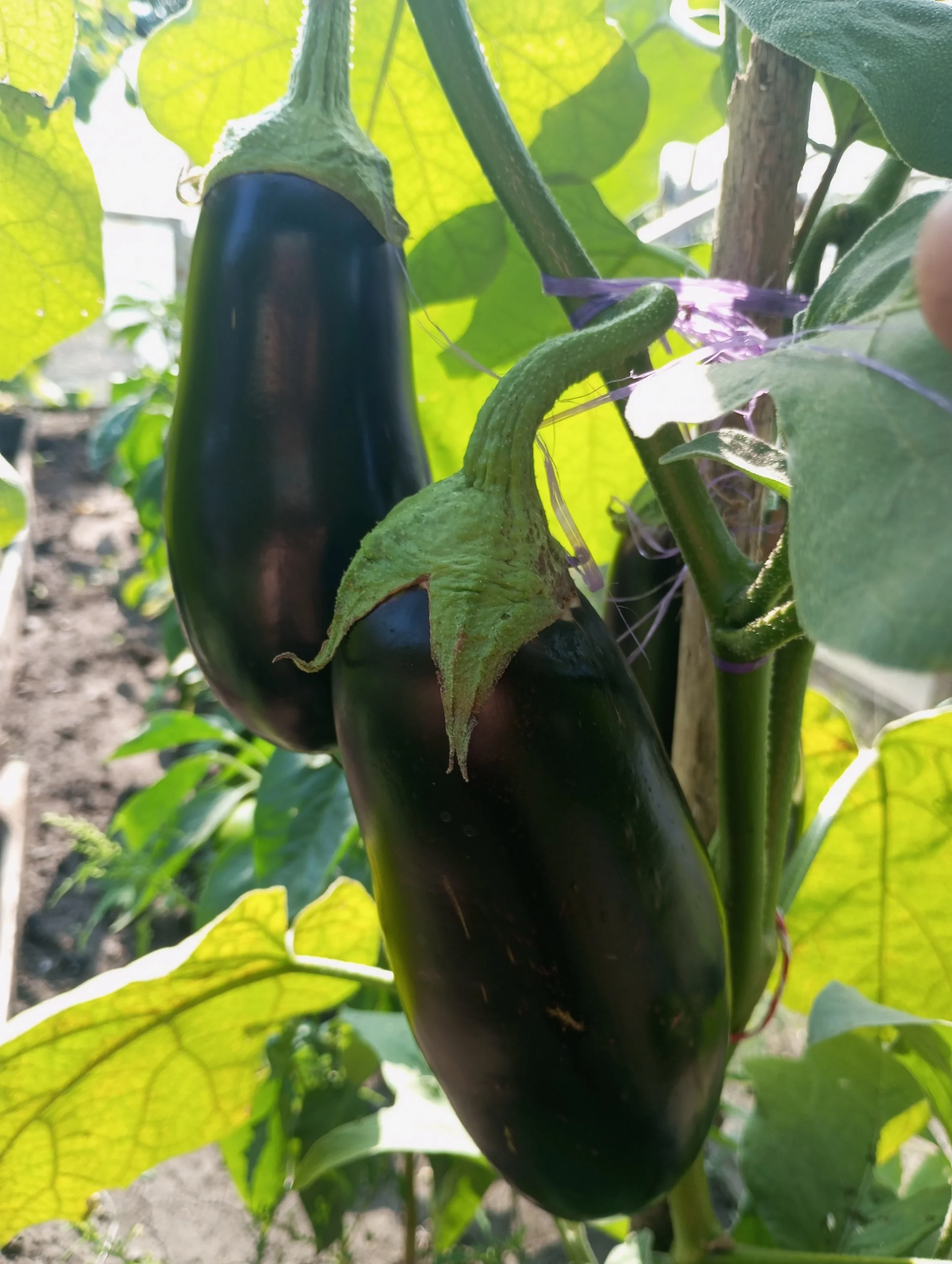 2024-08-21 09-47-19.webp