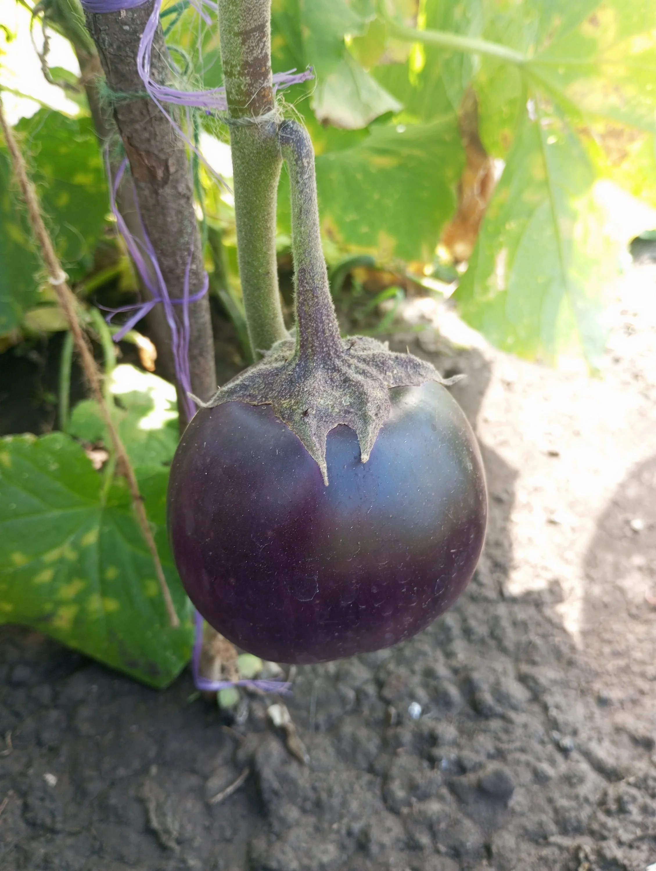 2024-08-21 09-47-29.webp