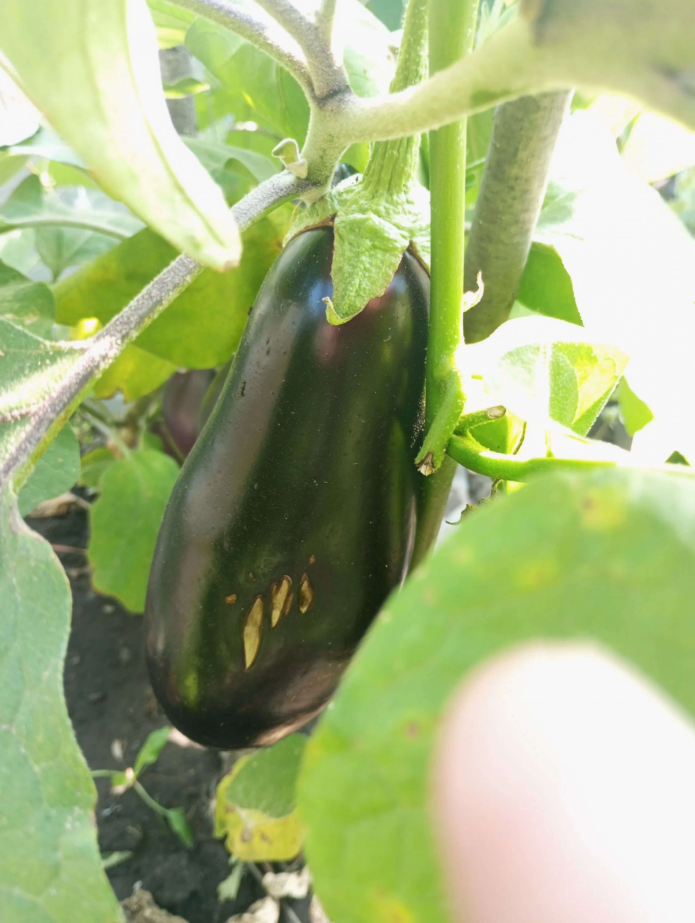 2024-08-21 09-47-40.webp