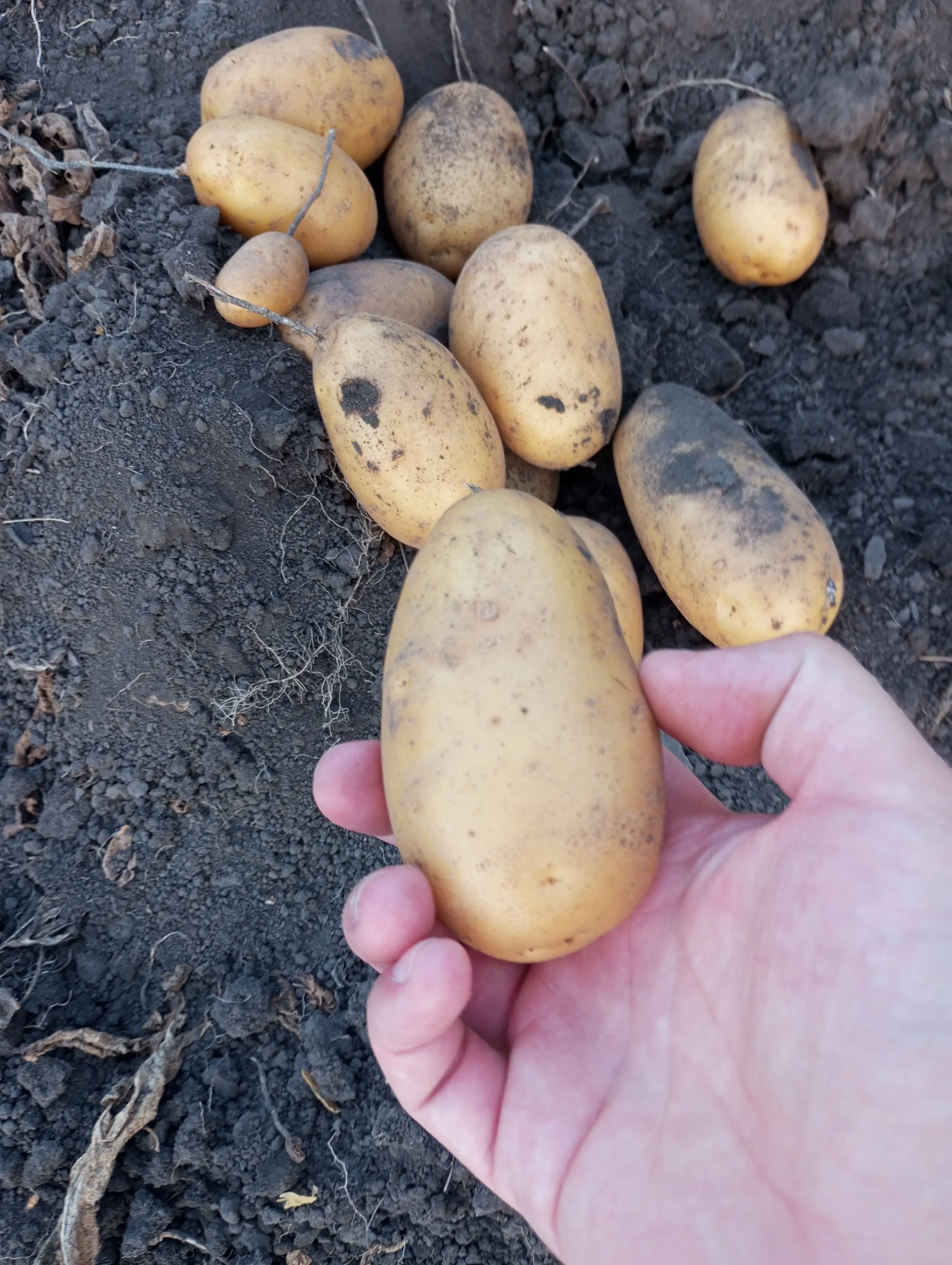 2024-08-22 18-19-41.webp