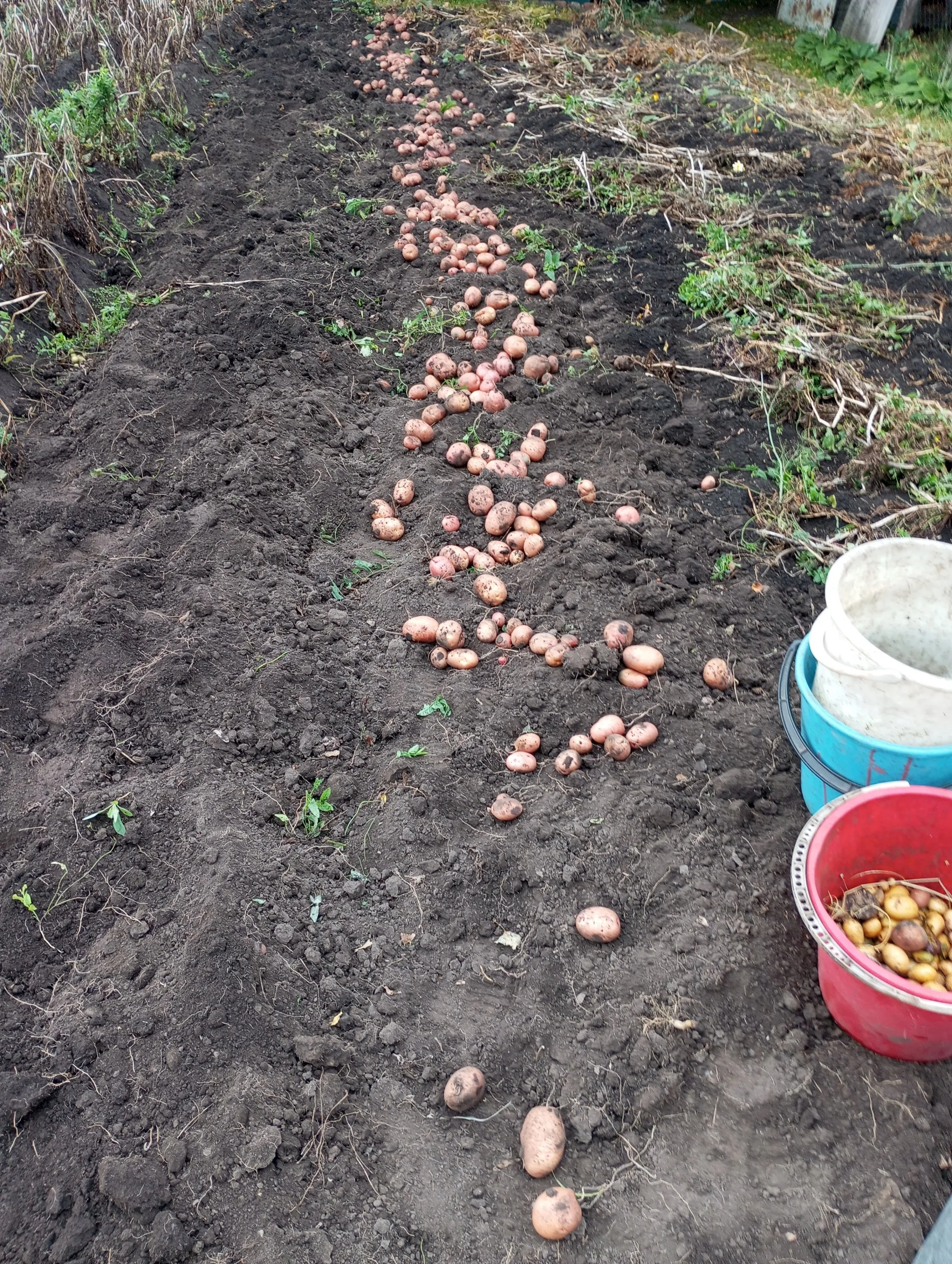 2024-08-23 08-32-19.webp