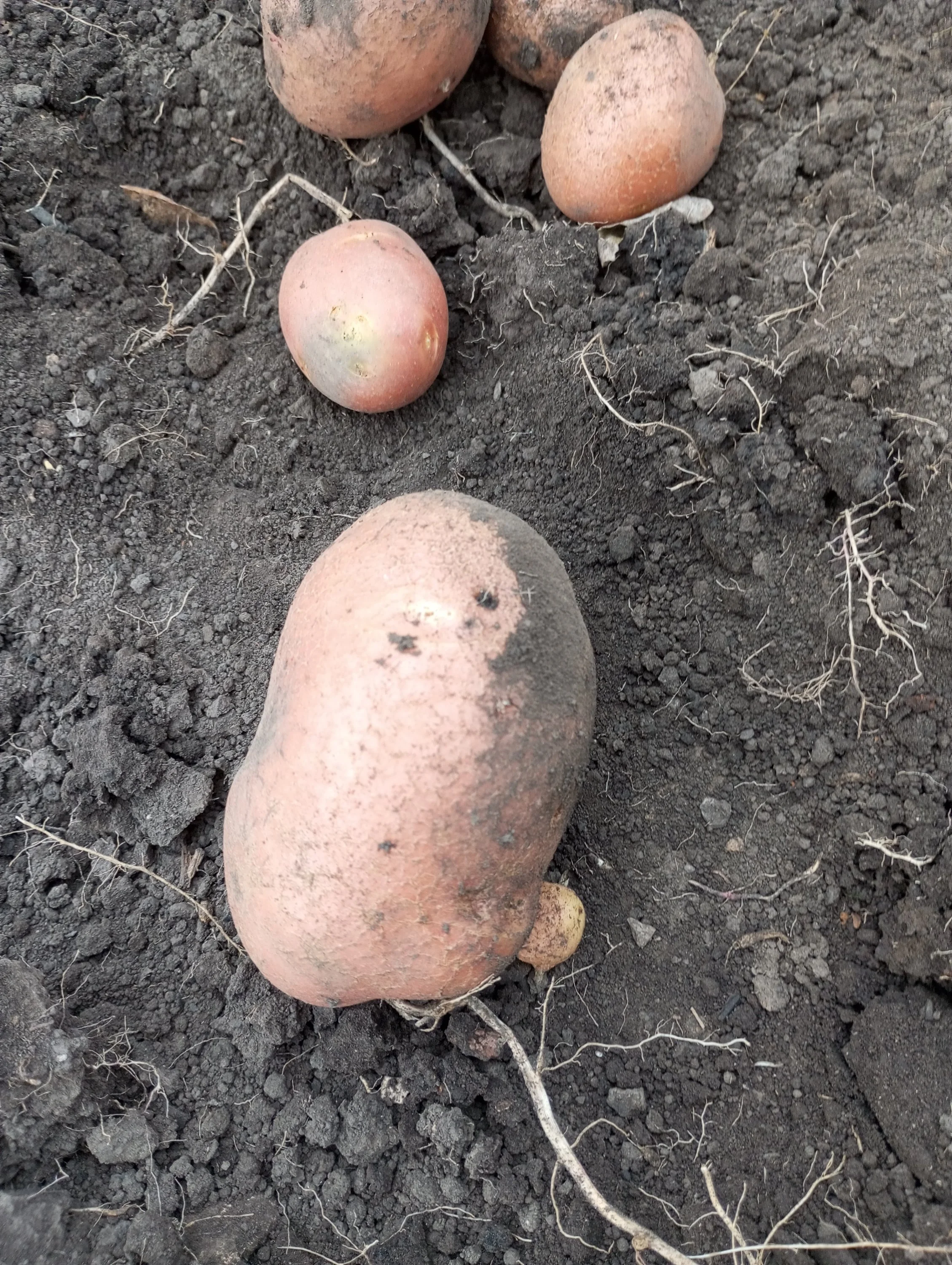 2024-08-23 08-32-28.webp